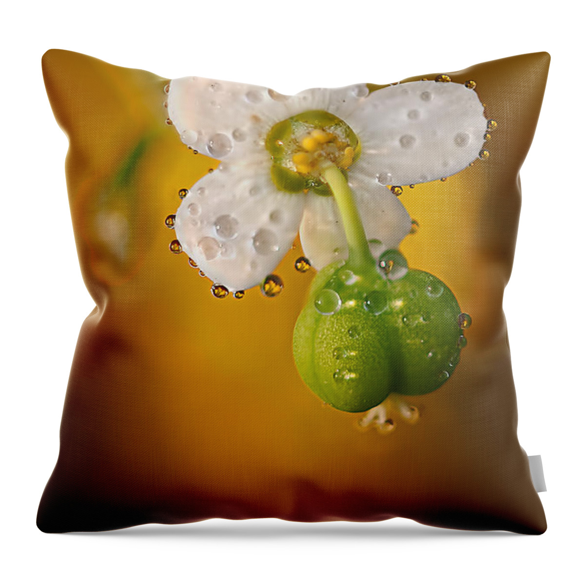 2012 Throw Pillow featuring the photograph Flowering Spurge by Robert Charity