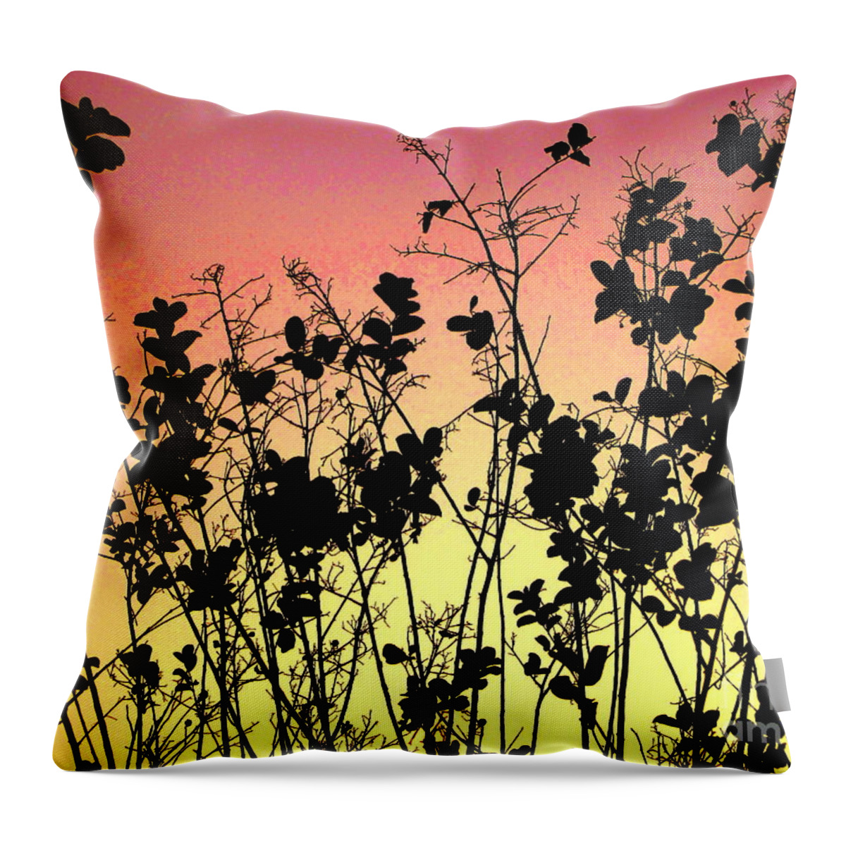  Agriculture Throw Pillow featuring the photograph Flowers in the backlight 2 by Amanda Mohler
