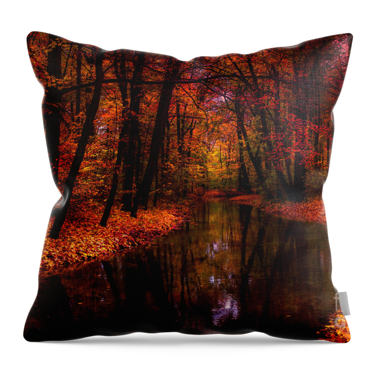 Autumn Throw Pillow featuring the photograph Flowing Through The Colors Of Fall by Hannes Cmarits