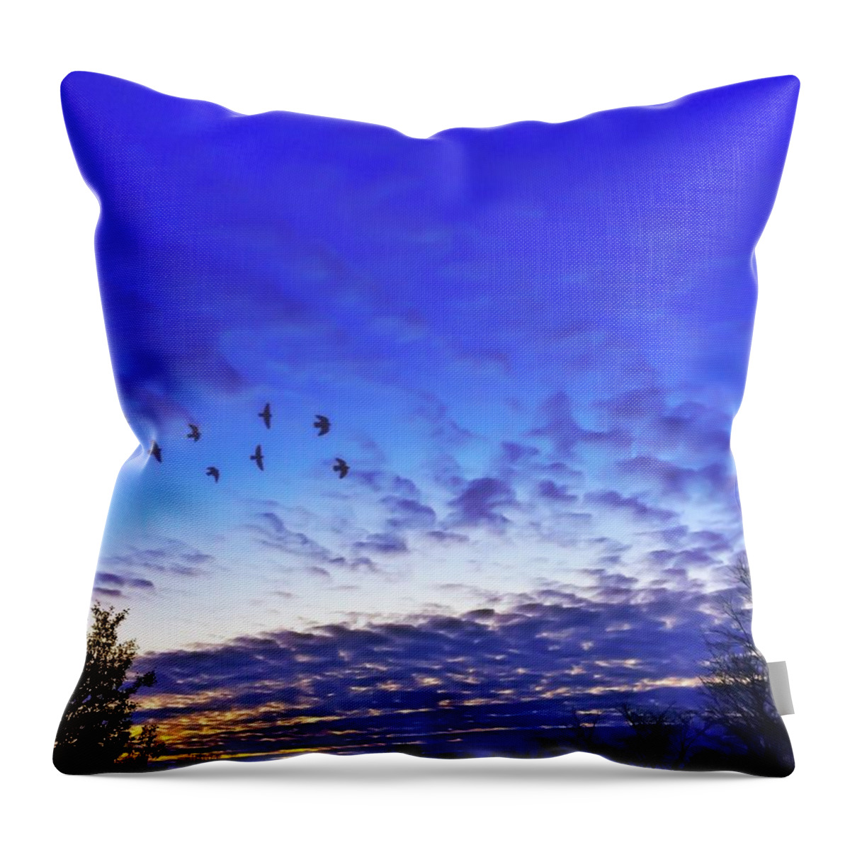 Birds Throw Pillow featuring the photograph Fly By at Sunset by Chris Montcalmo