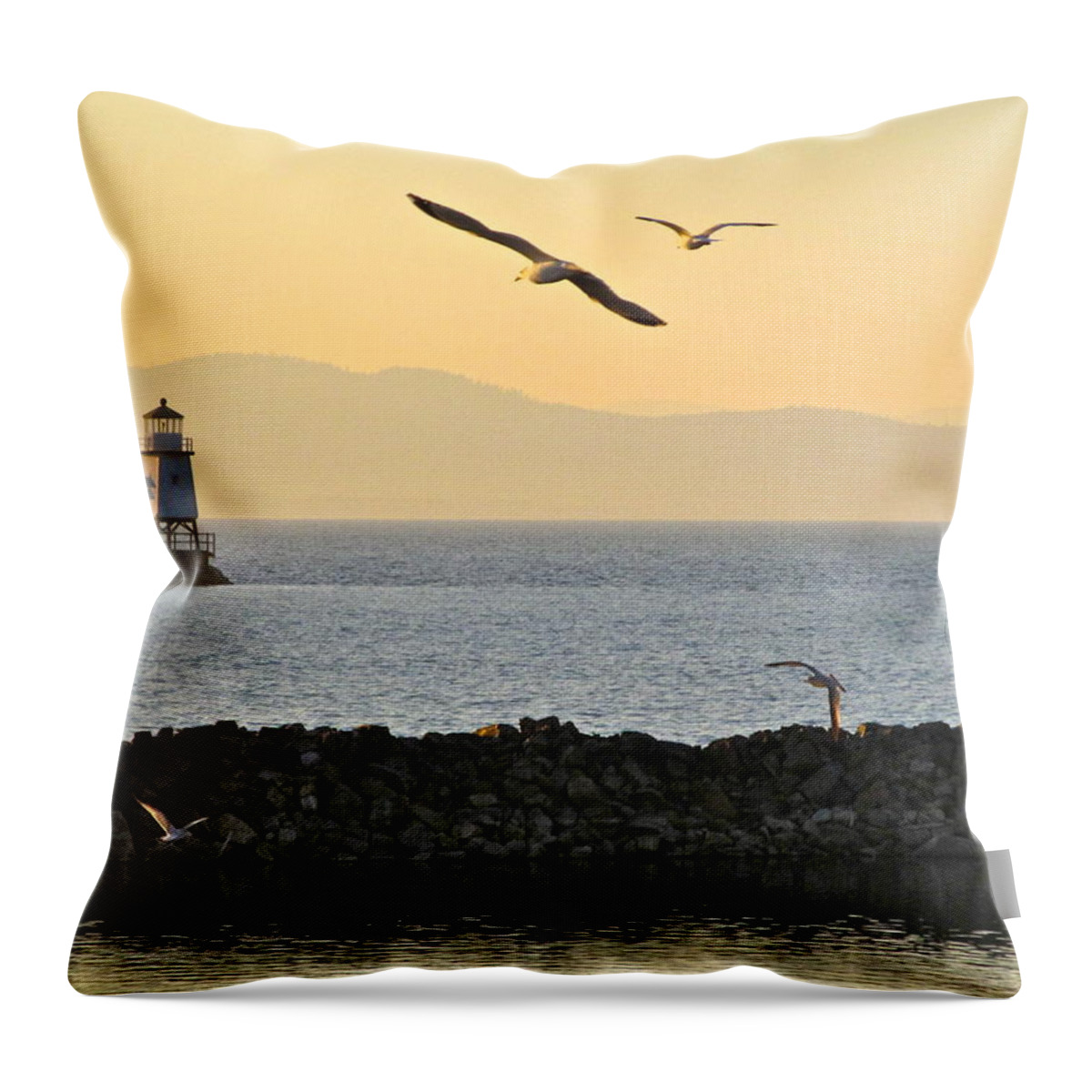 Digital Photography Throw Pillow featuring the photograph Fly By by Mike Reilly