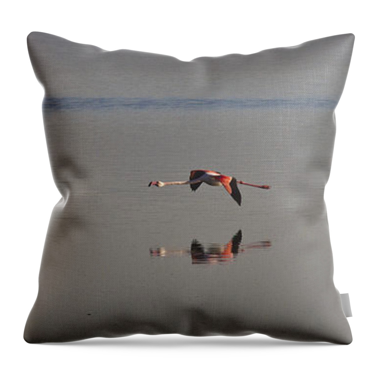 Heiko Throw Pillow featuring the photograph Fly Fly Away My Pretty Flamingo by Heiko Koehrer-Wagner