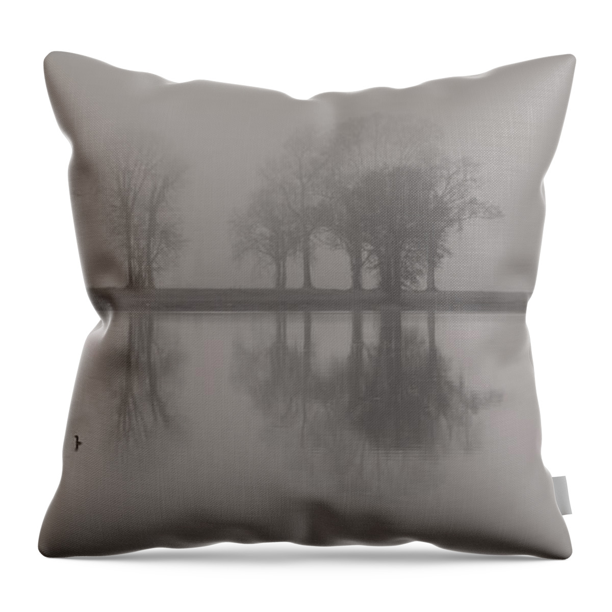 Landscape Throw Pillow featuring the photograph Fog and Fishing Eagle by Deborah Smith