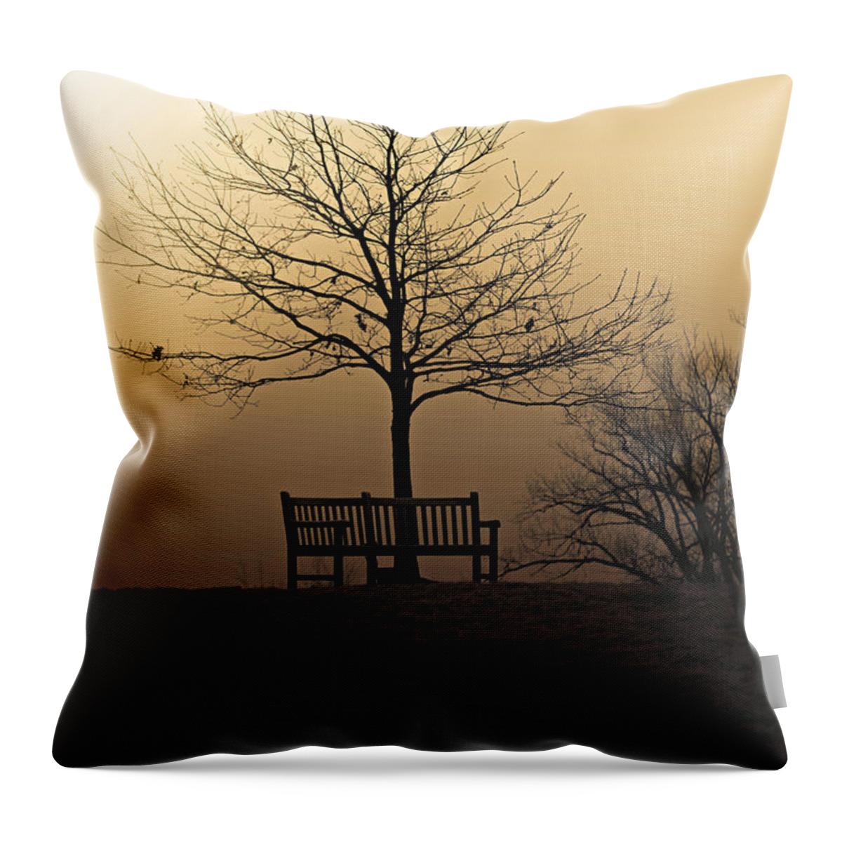 Sunrise Throw Pillow featuring the photograph Foggy Sunrise by Jackson Pearson