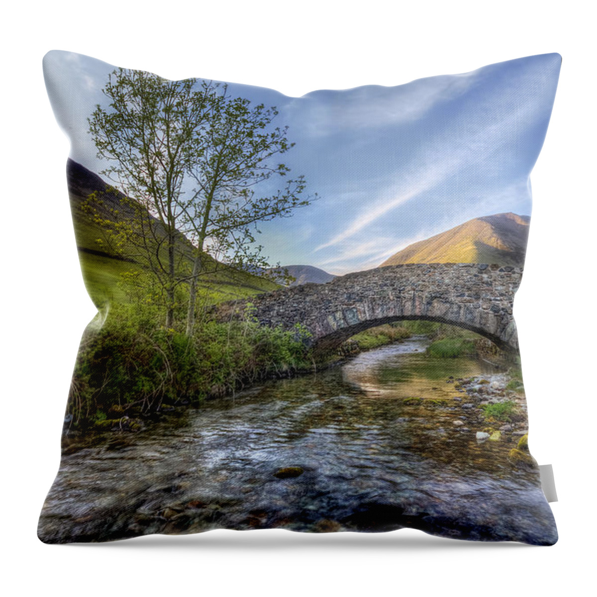 Landscape Throw Pillow featuring the photograph Follow Your Bliss by Evelina Kremsdorf