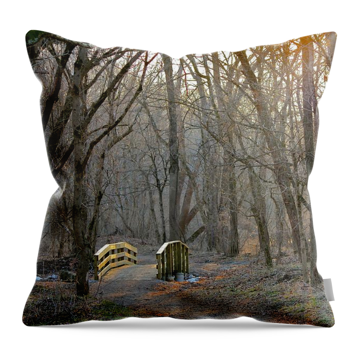 Color Throw Pillow featuring the photograph Foot Bridge by Nunweiler Photography