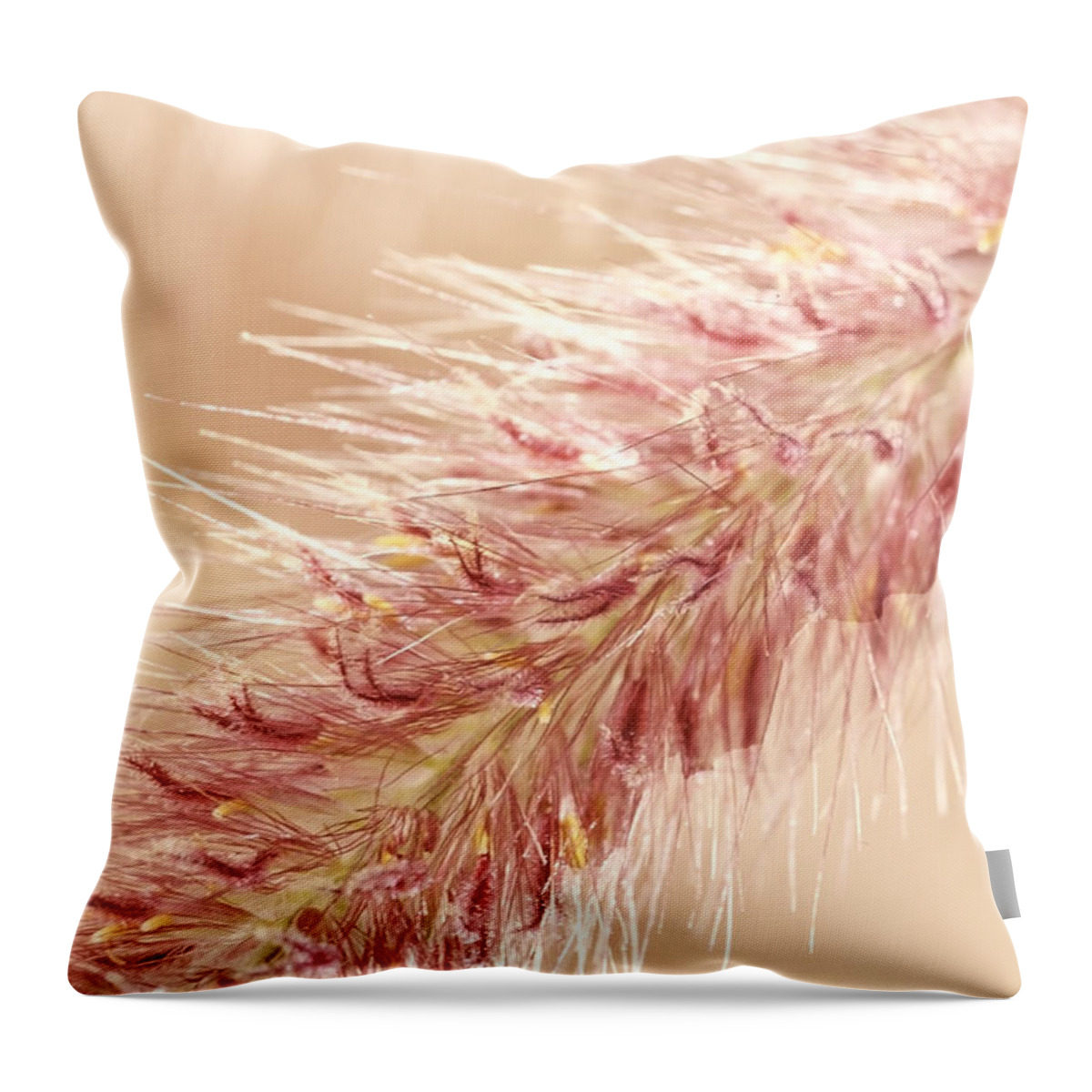Close-up Throw Pillow featuring the photograph Fountain Grass Blooms  #2 by Richard J Thompson 