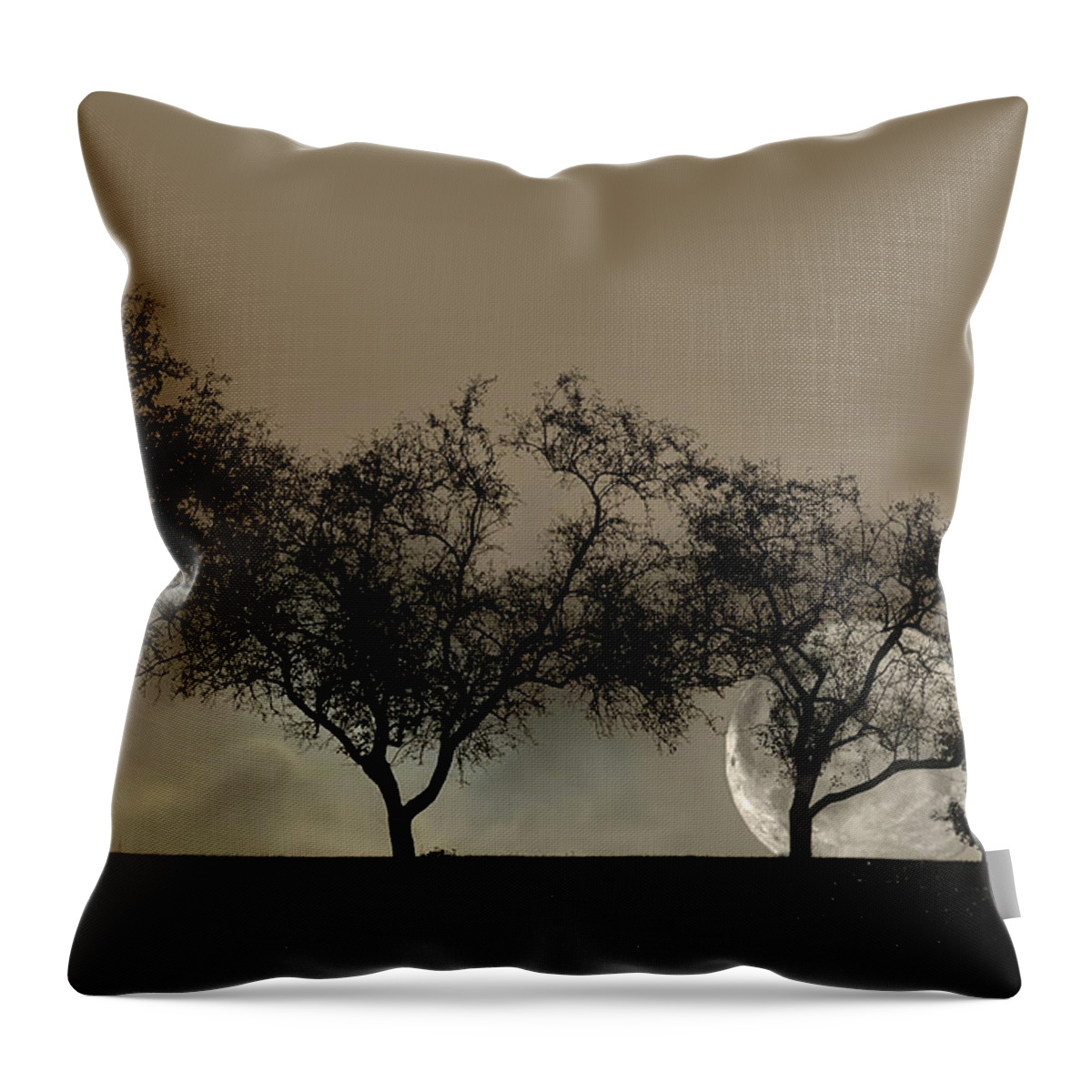 Trees Throw Pillow featuring the photograph Four Trees and a Moon by Ann Bridges
