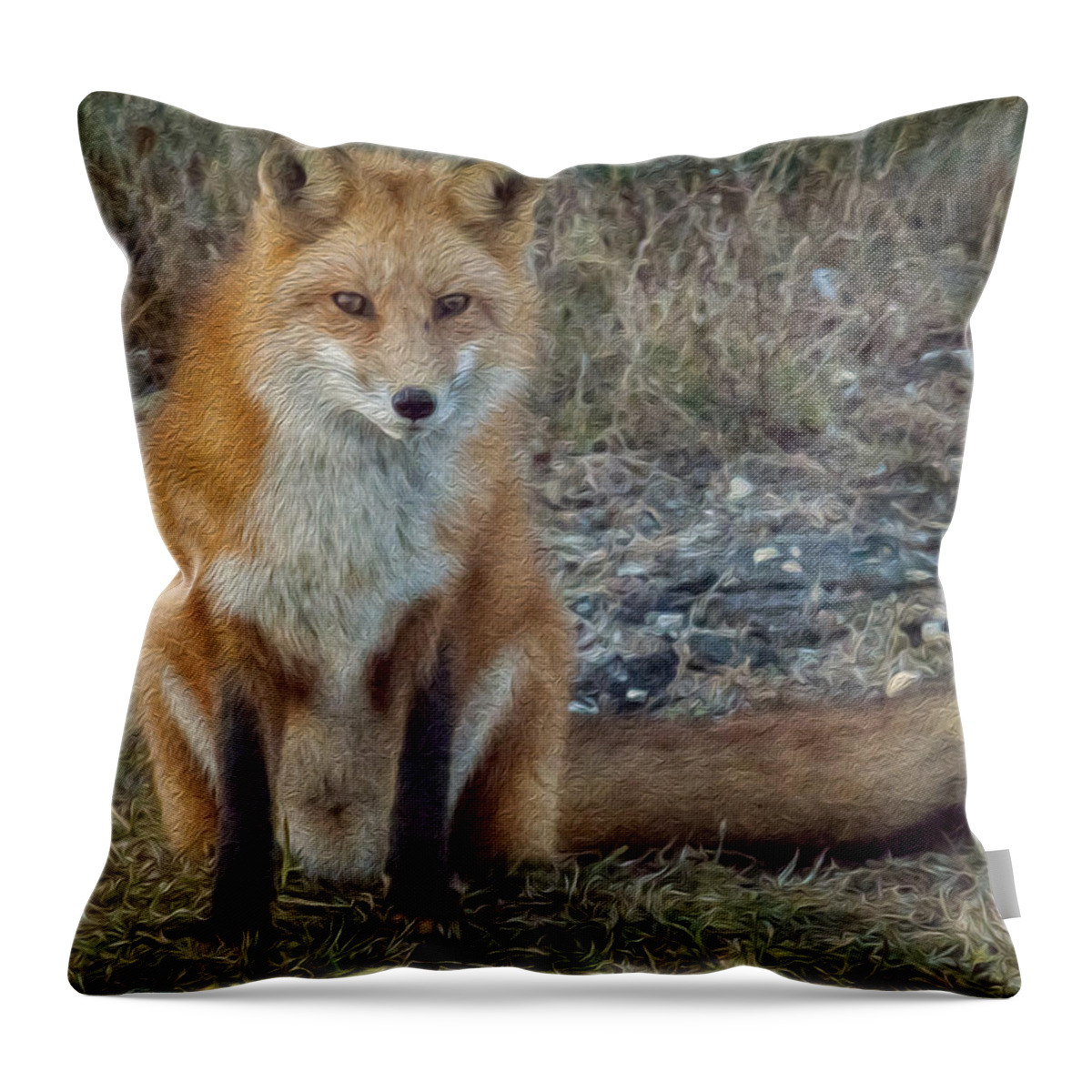 Fox Throw Pillow featuring the photograph Fox In Oil by Cathy Kovarik