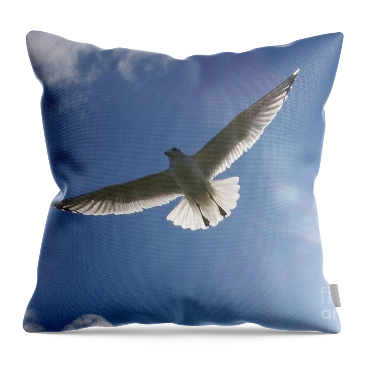 Seagull Throw Pillow featuring the photograph Freedom Flight by Jackie Mueller-Jones
