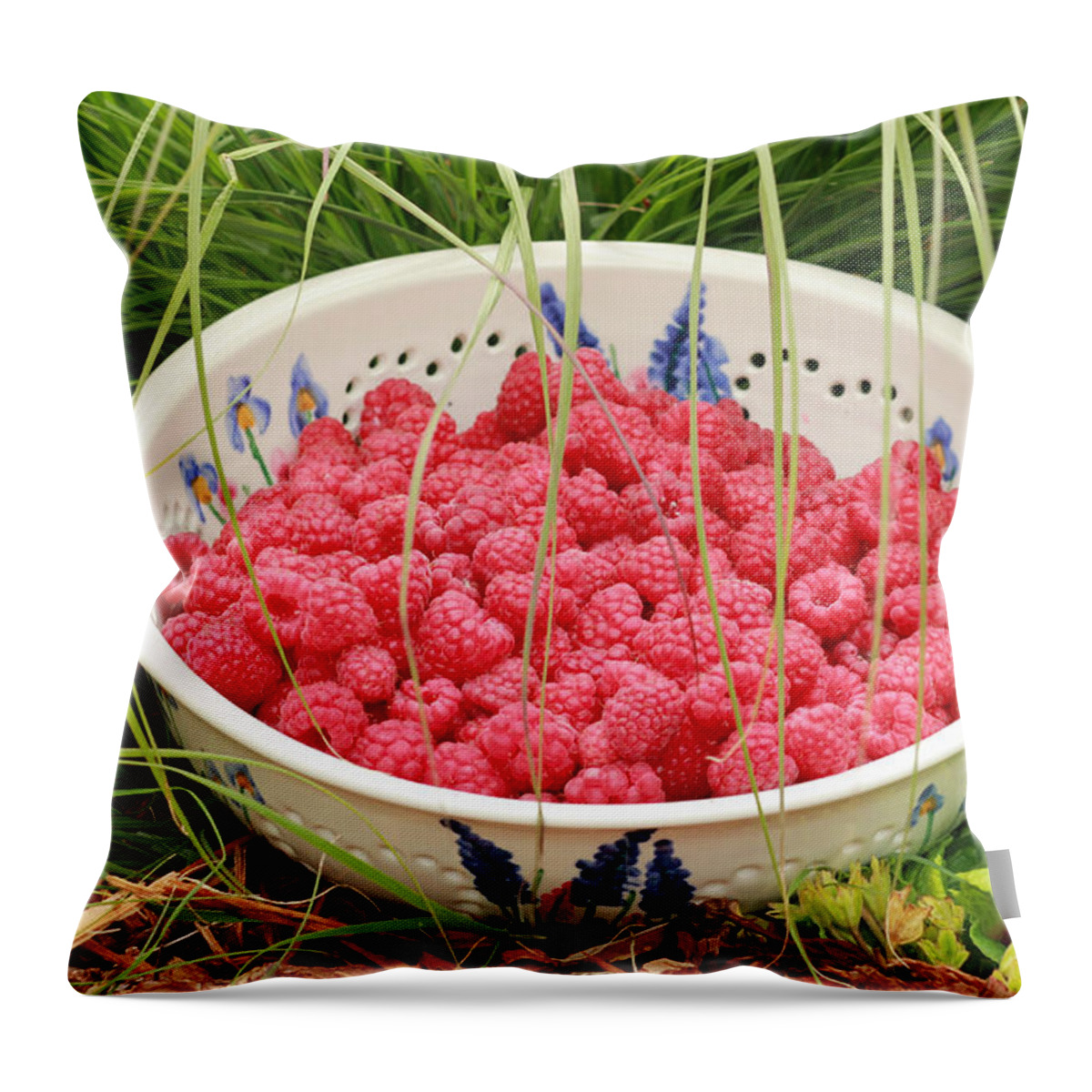 Red Throw Pillow featuring the photograph Fresh-Picked Raspberries by E Faithe Lester
