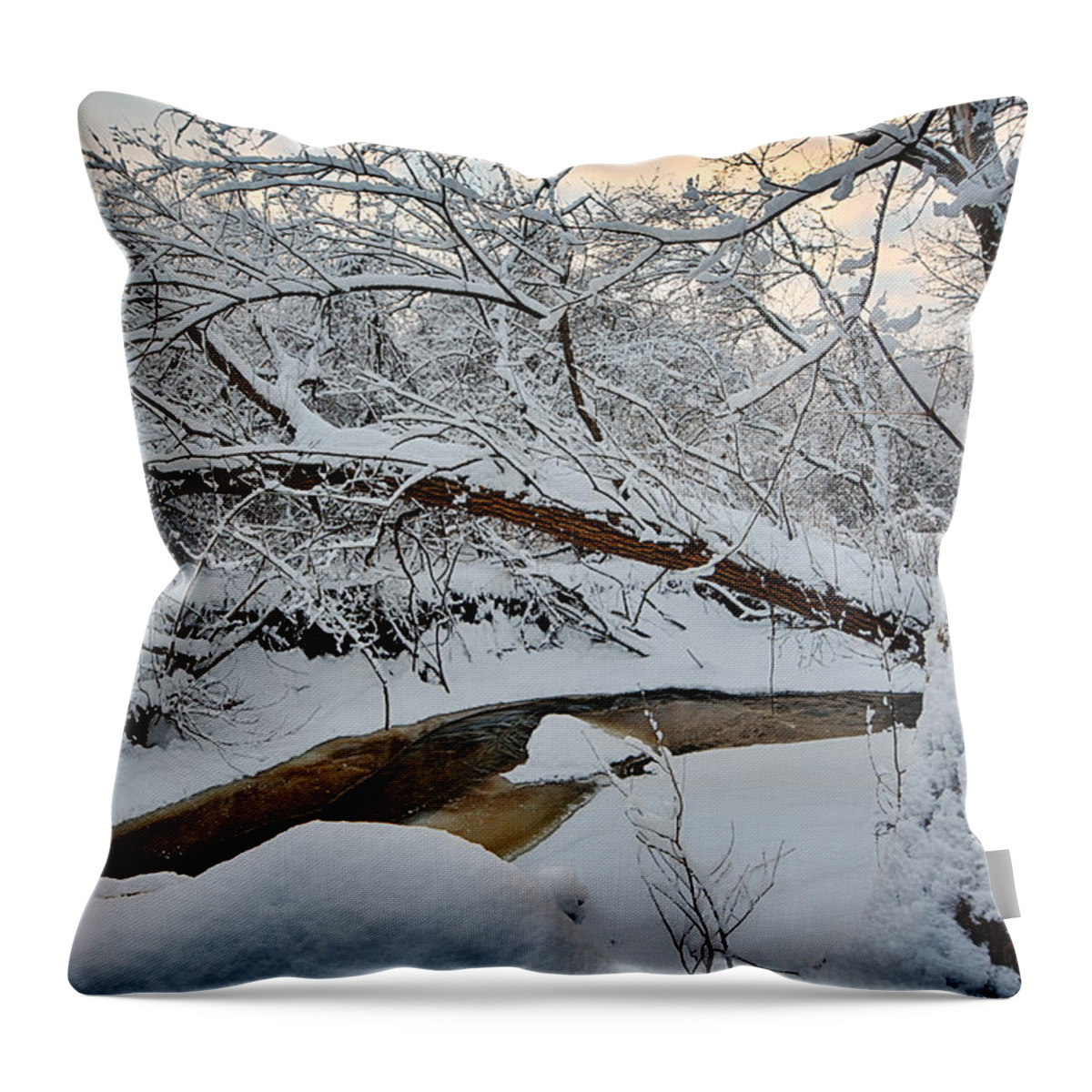 Clouds Throw Pillow featuring the photograph Frozen Creek by Sebastian Musial