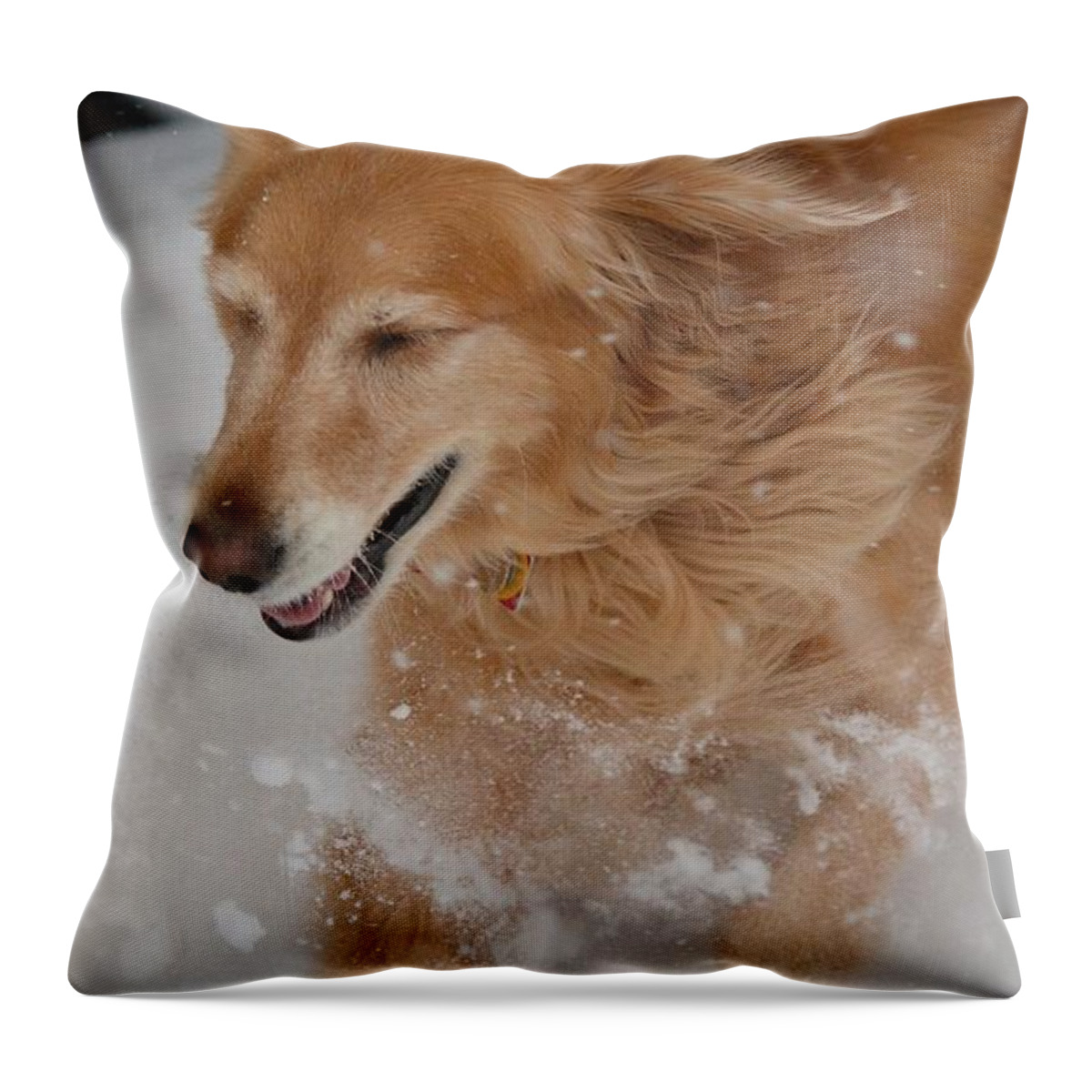 Dogs Throw Pillow featuring the photograph Fun in the Snow by Veronica Batterson