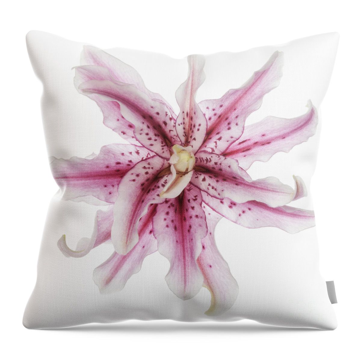 Funky Lily Throw Pillow featuring the photograph Funky Lily by Patty Colabuono