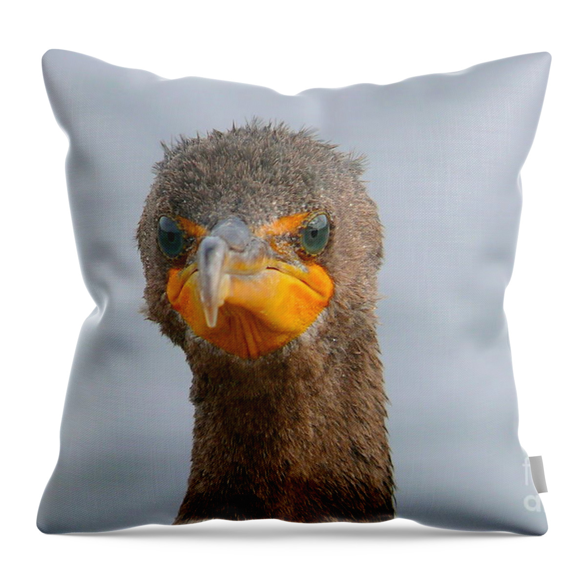 Alive Throw Pillow featuring the photograph Funny looking Bird by Amanda Mohler