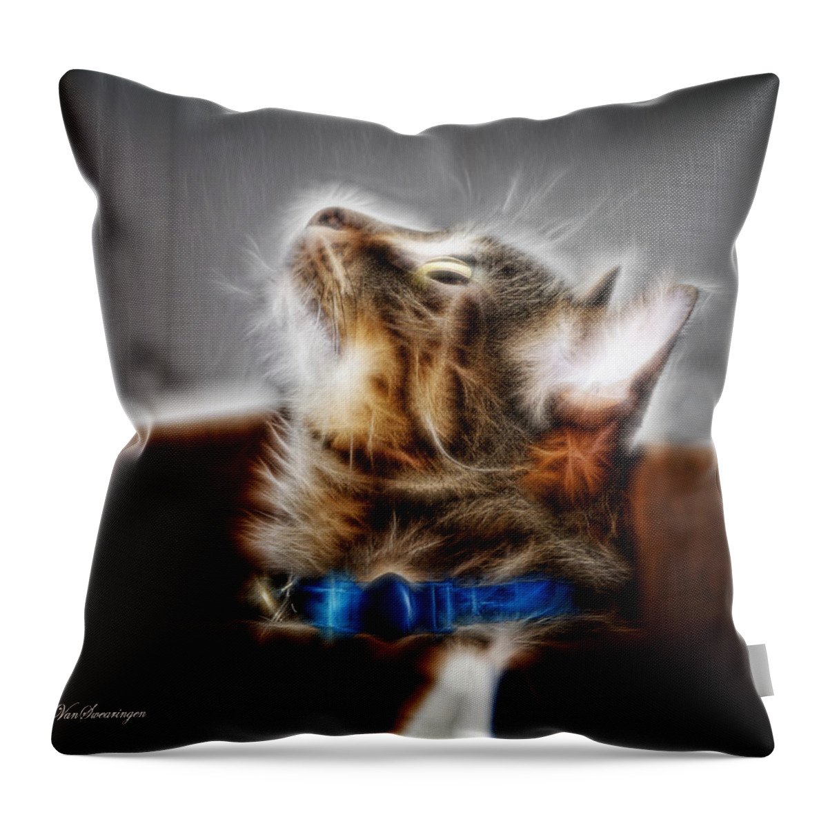 Cat Throw Pillow featuring the photograph Fuzzy Friend by Lucy VanSwearingen