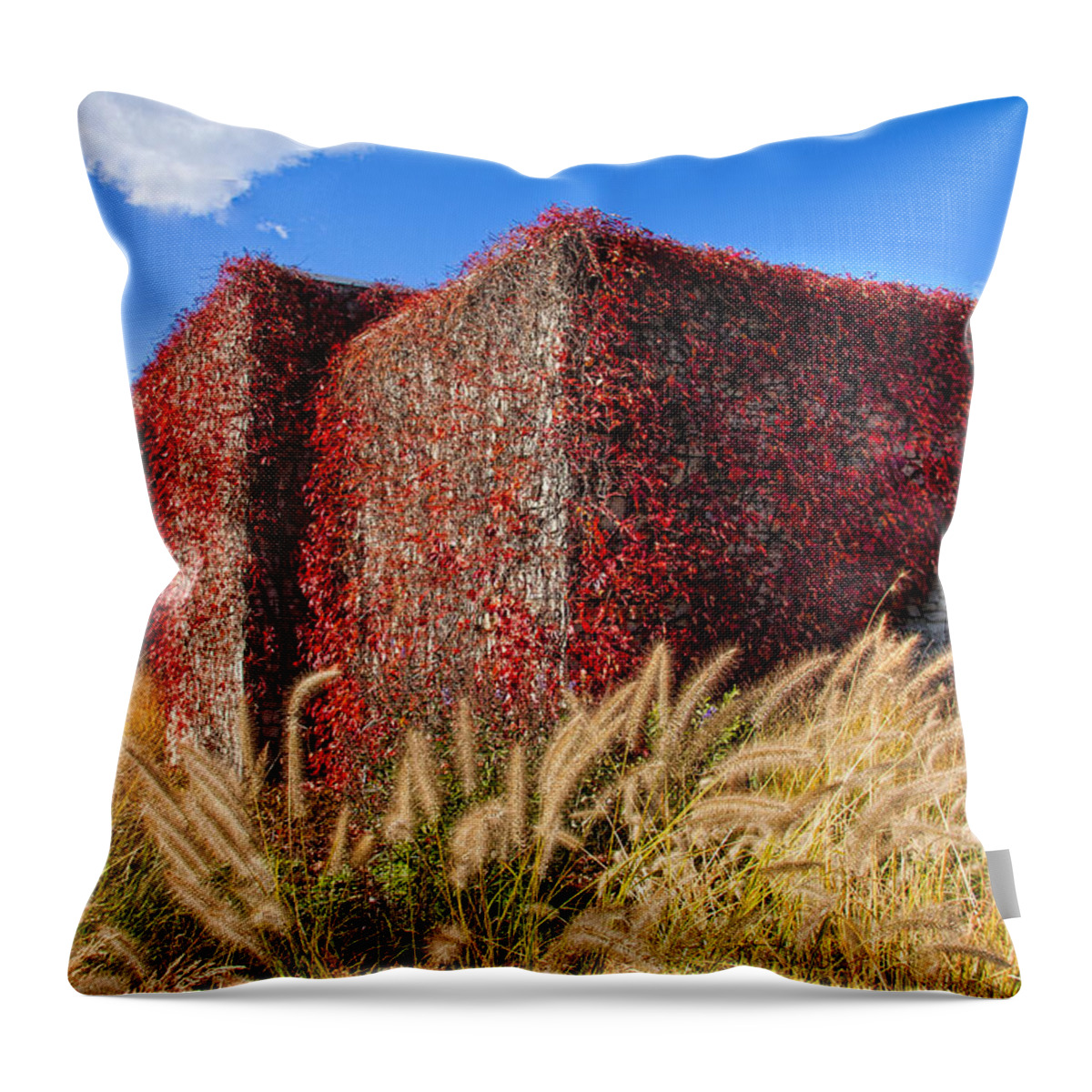 Garden Throw Pillow featuring the photograph Garden Geometry by Marilyn Cornwell