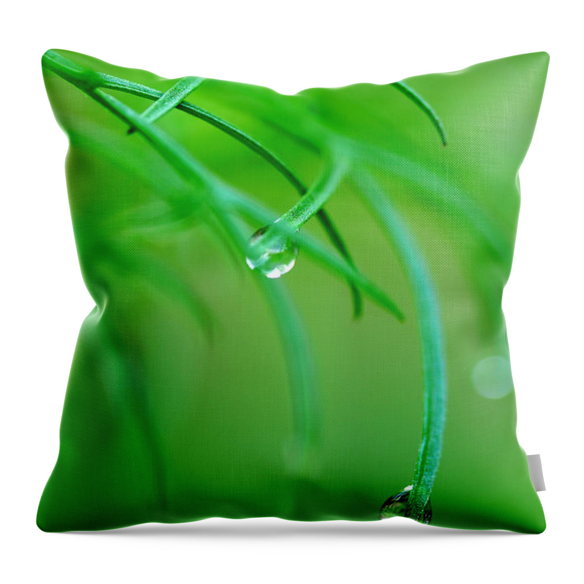 Dew Drops Throw Pillow featuring the photograph Garden Gifts by Michael Eingle