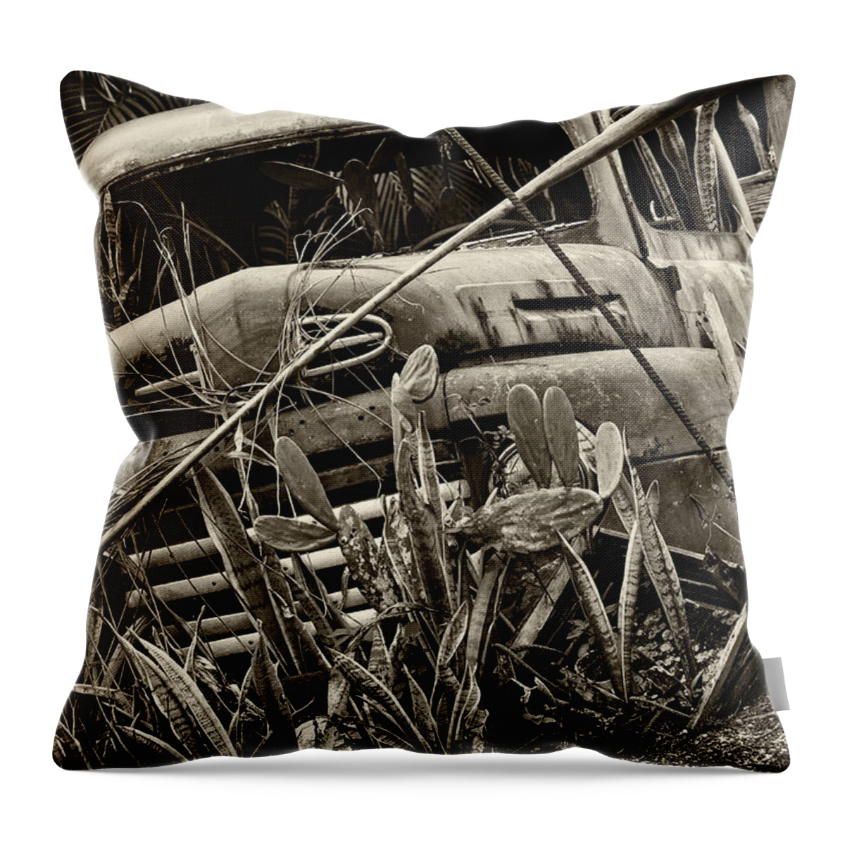 1940s Throw Pillow featuring the photograph Garden Pick Up Truck by Raul Rodriguez