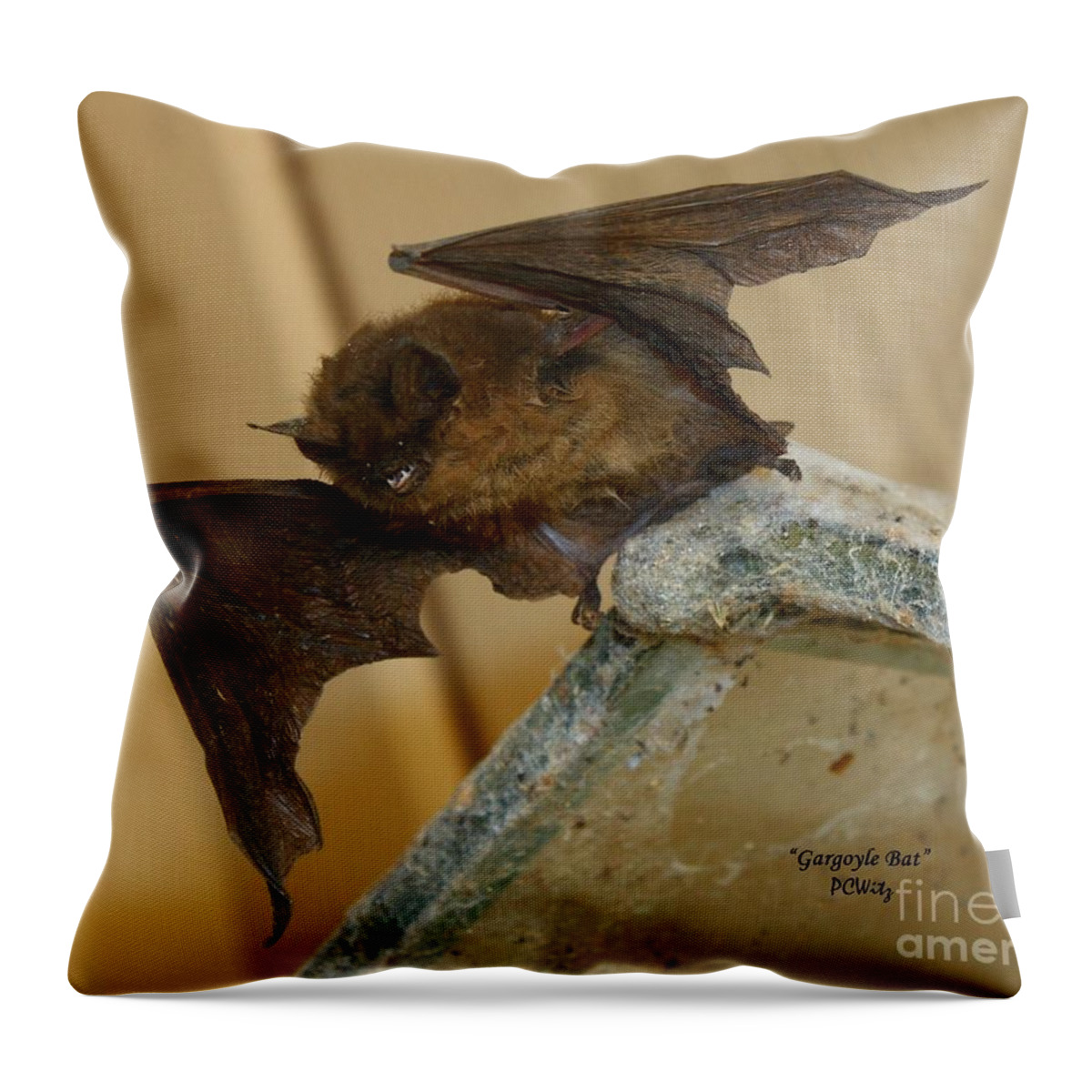 Gargoyle Bat Throw Pillow featuring the photograph Gargoyle Bat by Patrick Witz