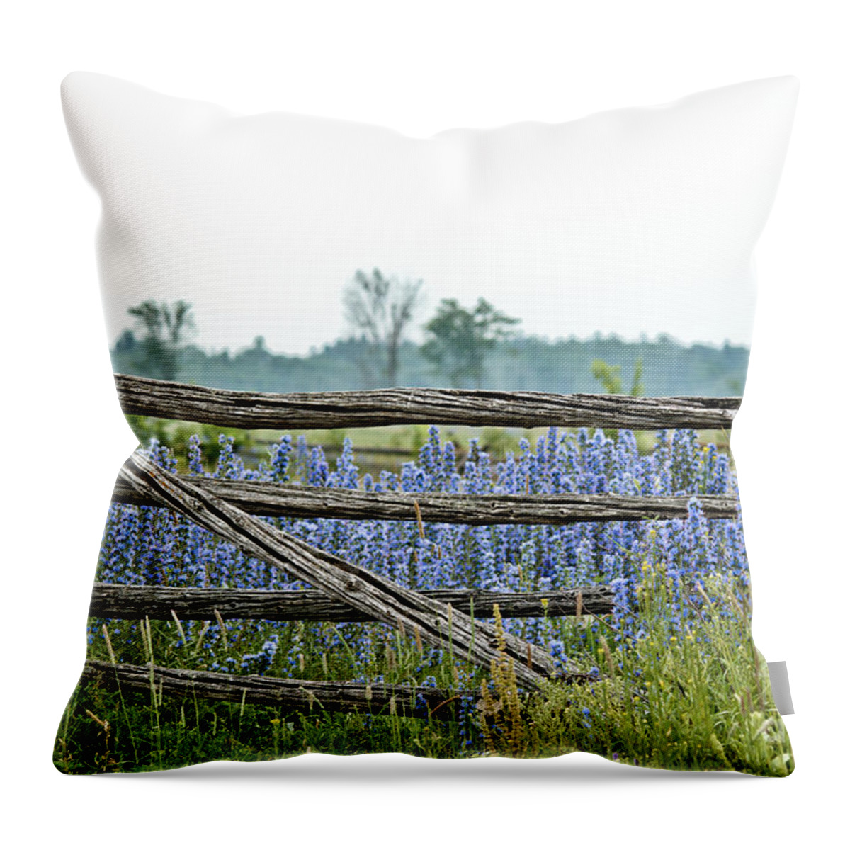 Wild Flowers Throw Pillow featuring the photograph Gate to Blue by Cheryl Baxter