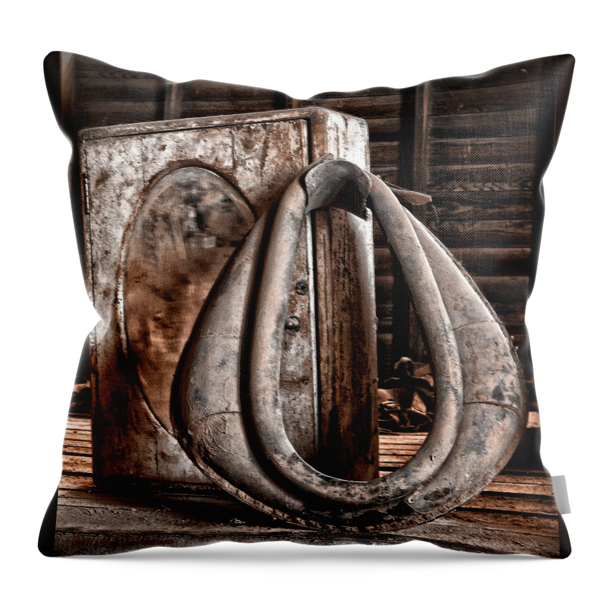 Rustic Photograph Print Throw Pillow featuring the photograph Gathering Dust by Lucy VanSwearingen