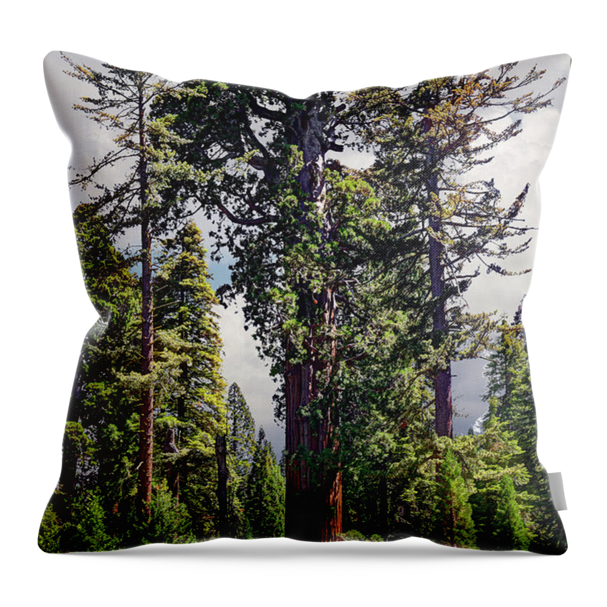 Sequoia Tree Throw Pillow featuring the photograph General Grant Sequoia Tree, Kings Canyon by Ed Freeman