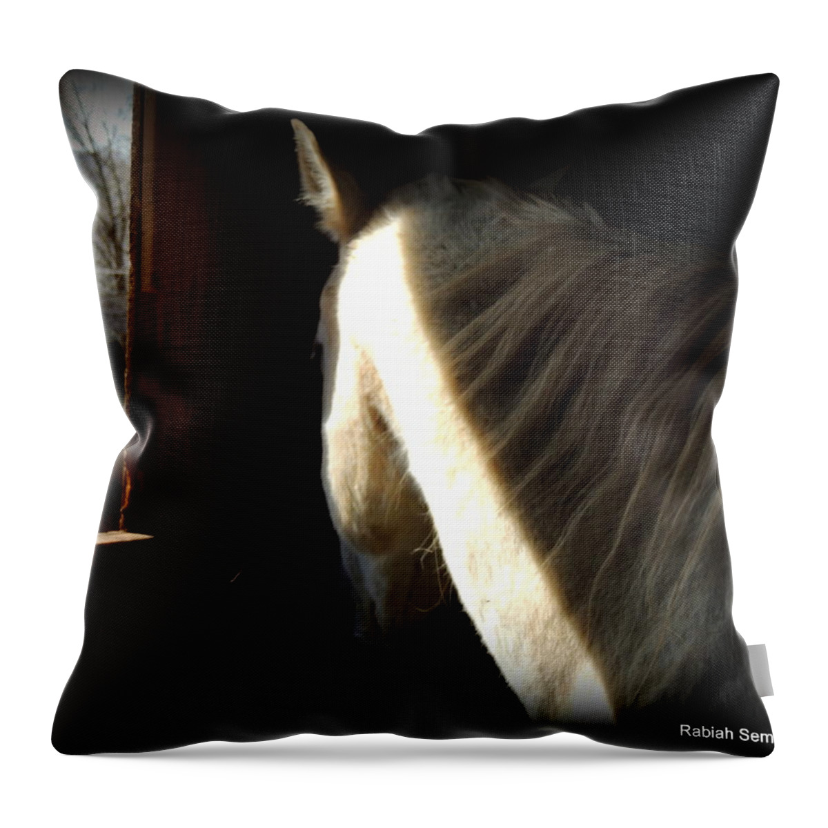 Horse Throw Pillow featuring the photograph Gitchie by Rabiah Seminole