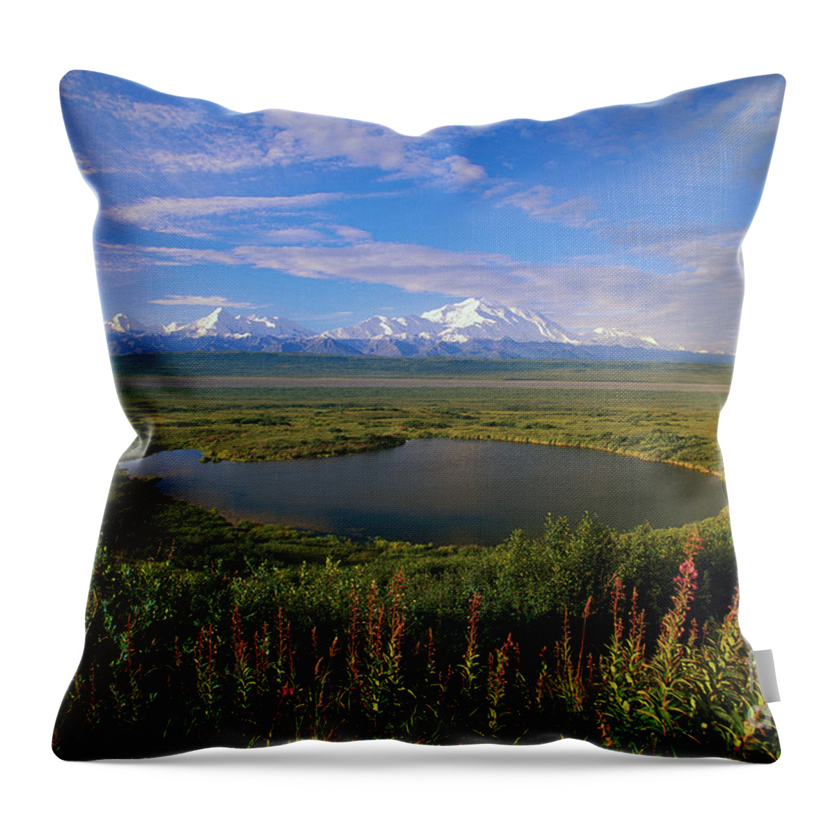 00340579 Throw Pillow featuring the photograph Glacial Kettle Pond And Denali by Yva Momatiuk John Eastcott