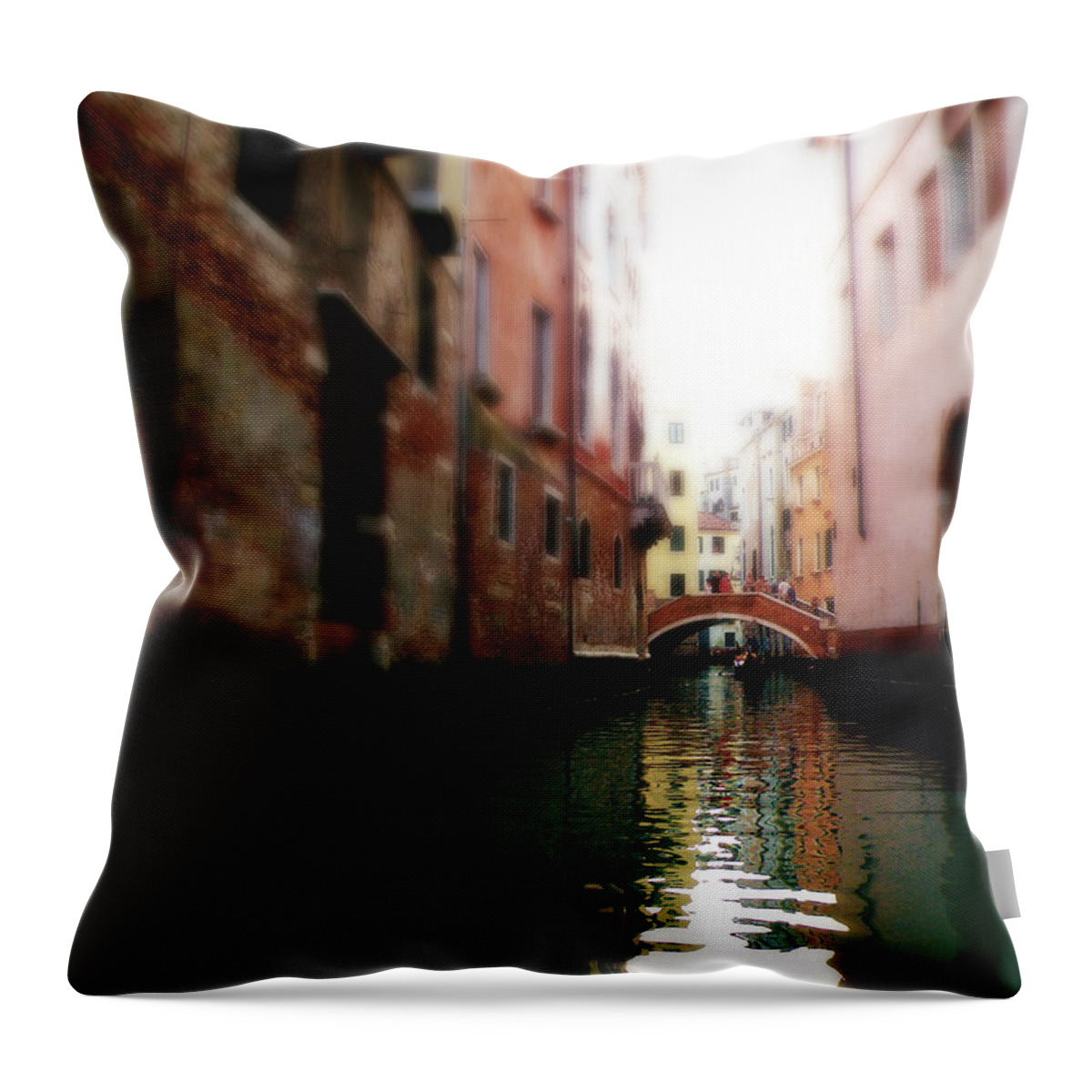 Gliding Along The Canal Throw Pillow featuring the photograph Gliding Along the Canal by Micki Findlay