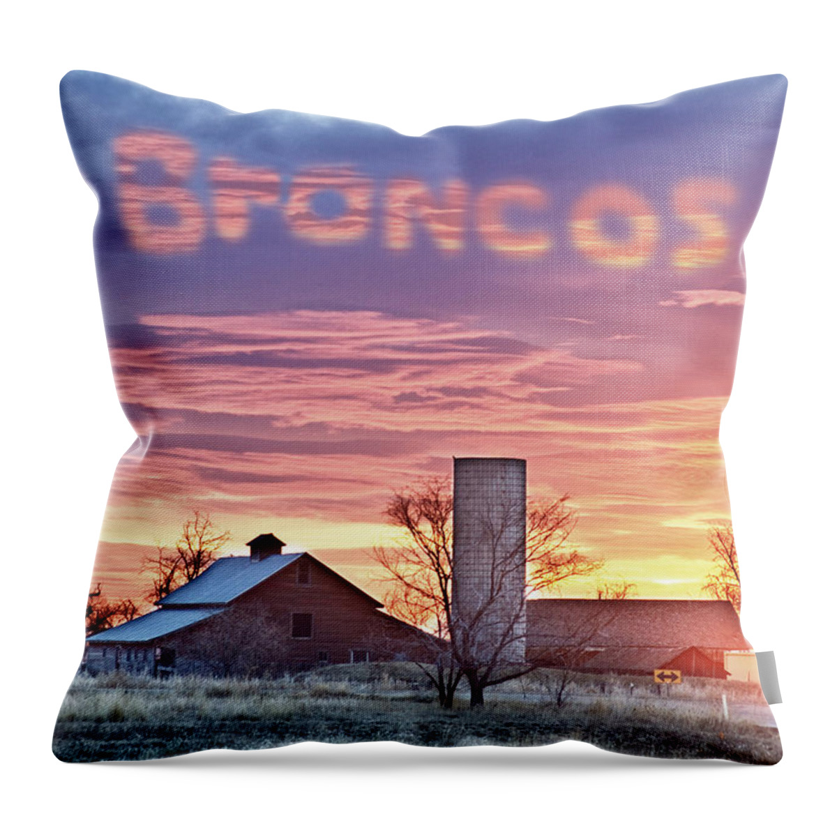 Broncos Throw Pillow featuring the photograph Go Broncos Colorado Country by James BO Insogna
