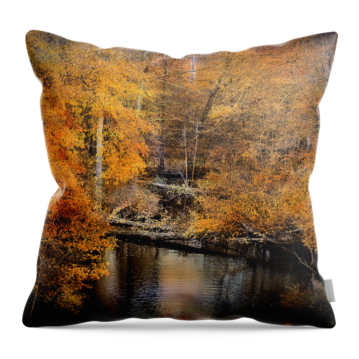 Autumn Throw Pillow featuring the photograph Golden Blessings by Jai Johnson