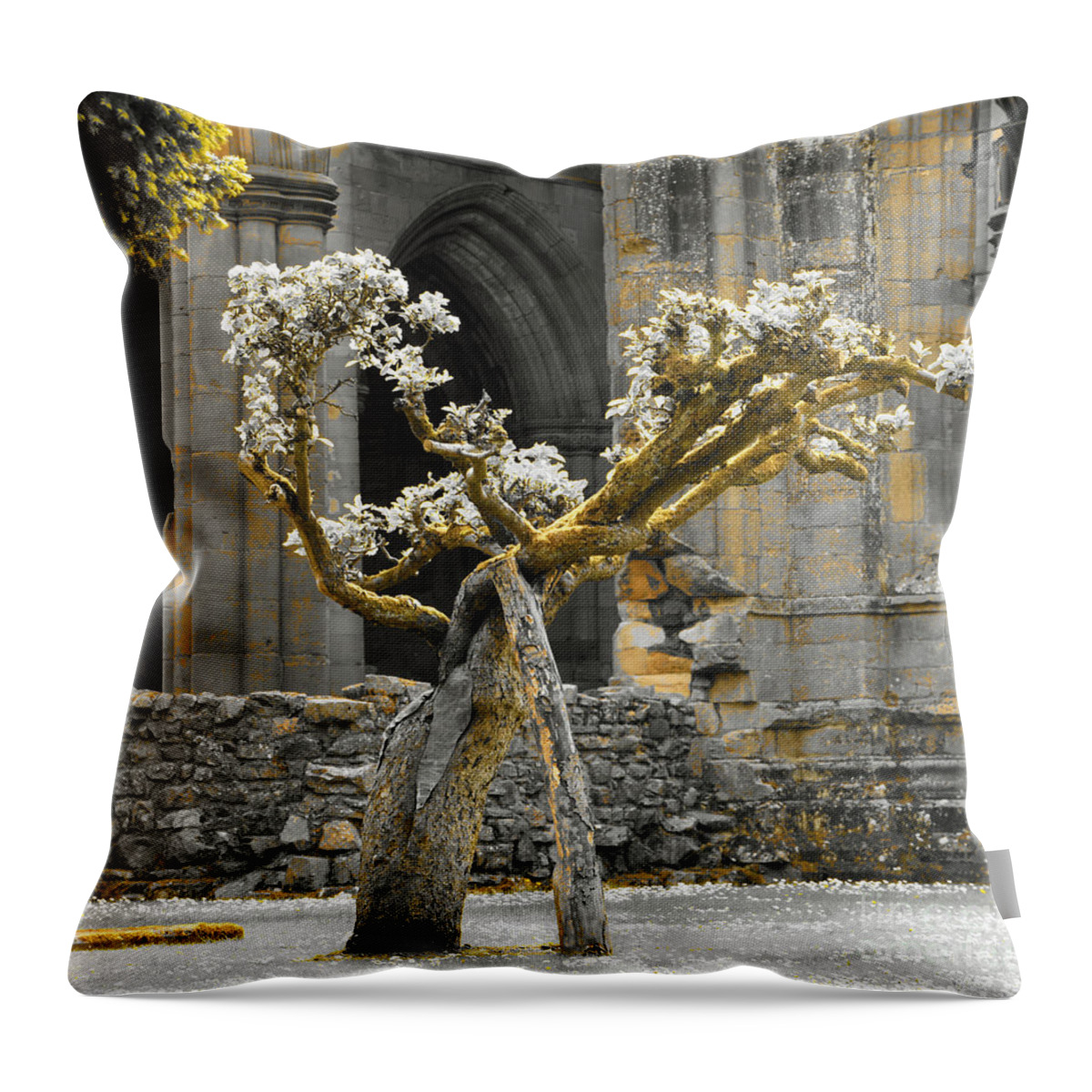 Alone Tree Throw Pillow featuring the photograph Golden elderly by Elena Perelman