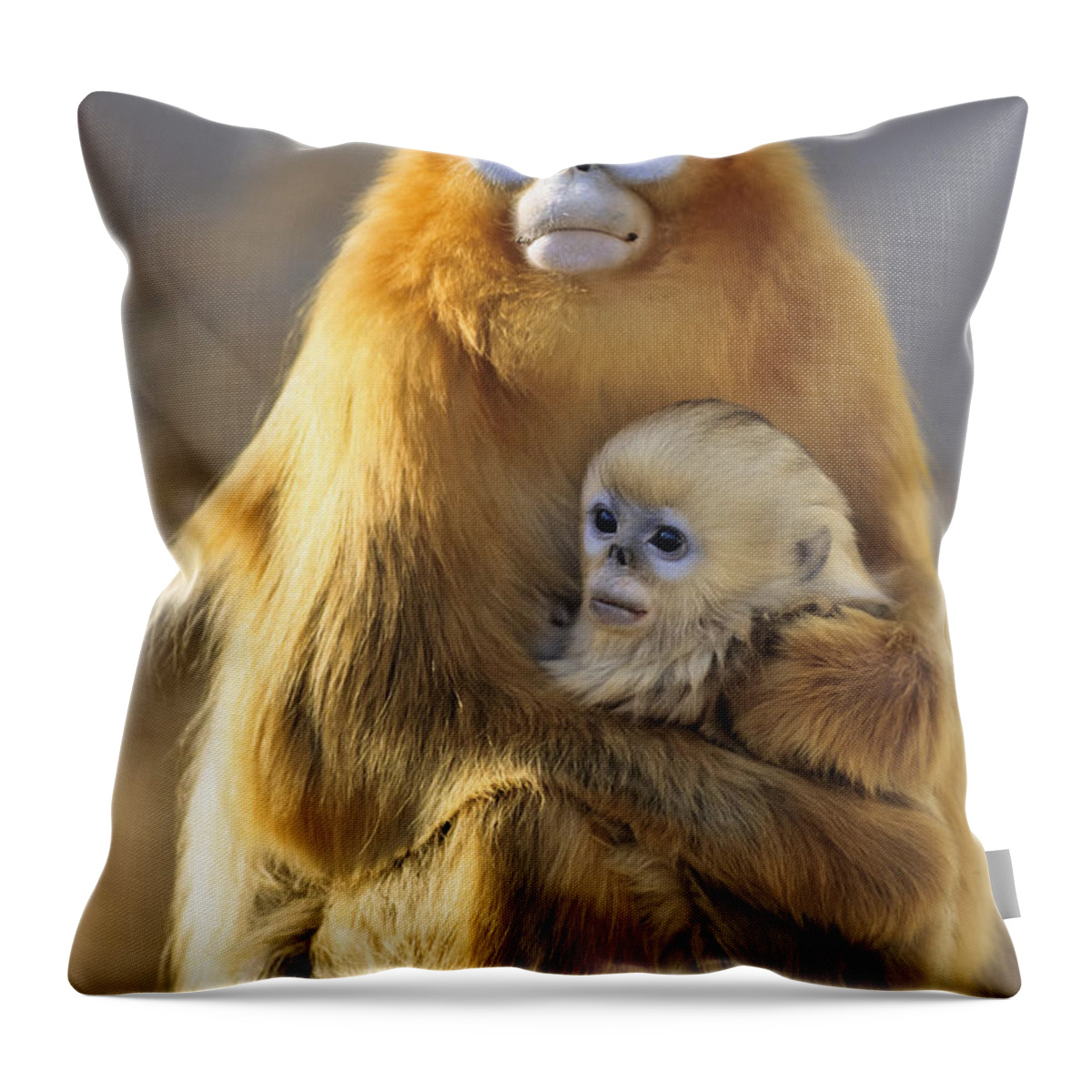 Feb0514 Throw Pillow featuring the photograph Golden Snub-nosed Monkey And Baby China by Konrad Wothe