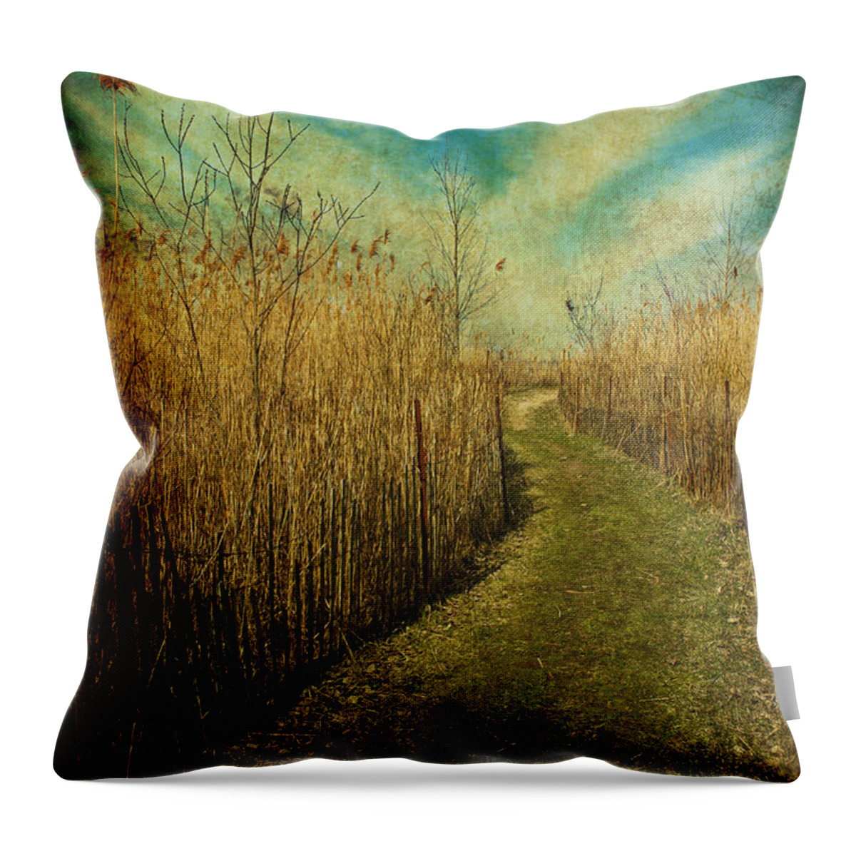 Festblues Throw Pillow featuring the photograph Golden Summer Days... by Nina Stavlund