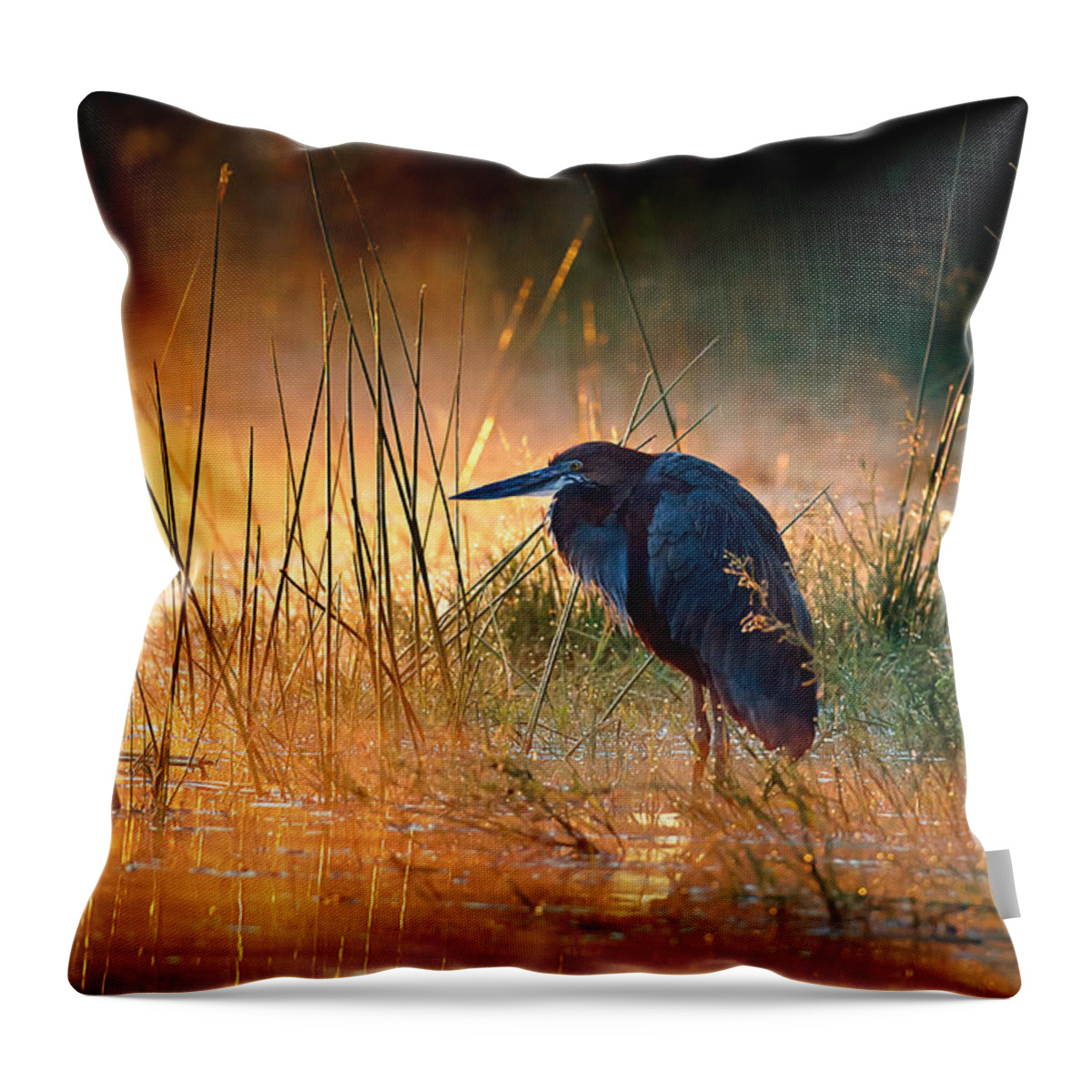 Heron Throw Pillow featuring the photograph Goliath heron with sunrise over misty river by Johan Swanepoel