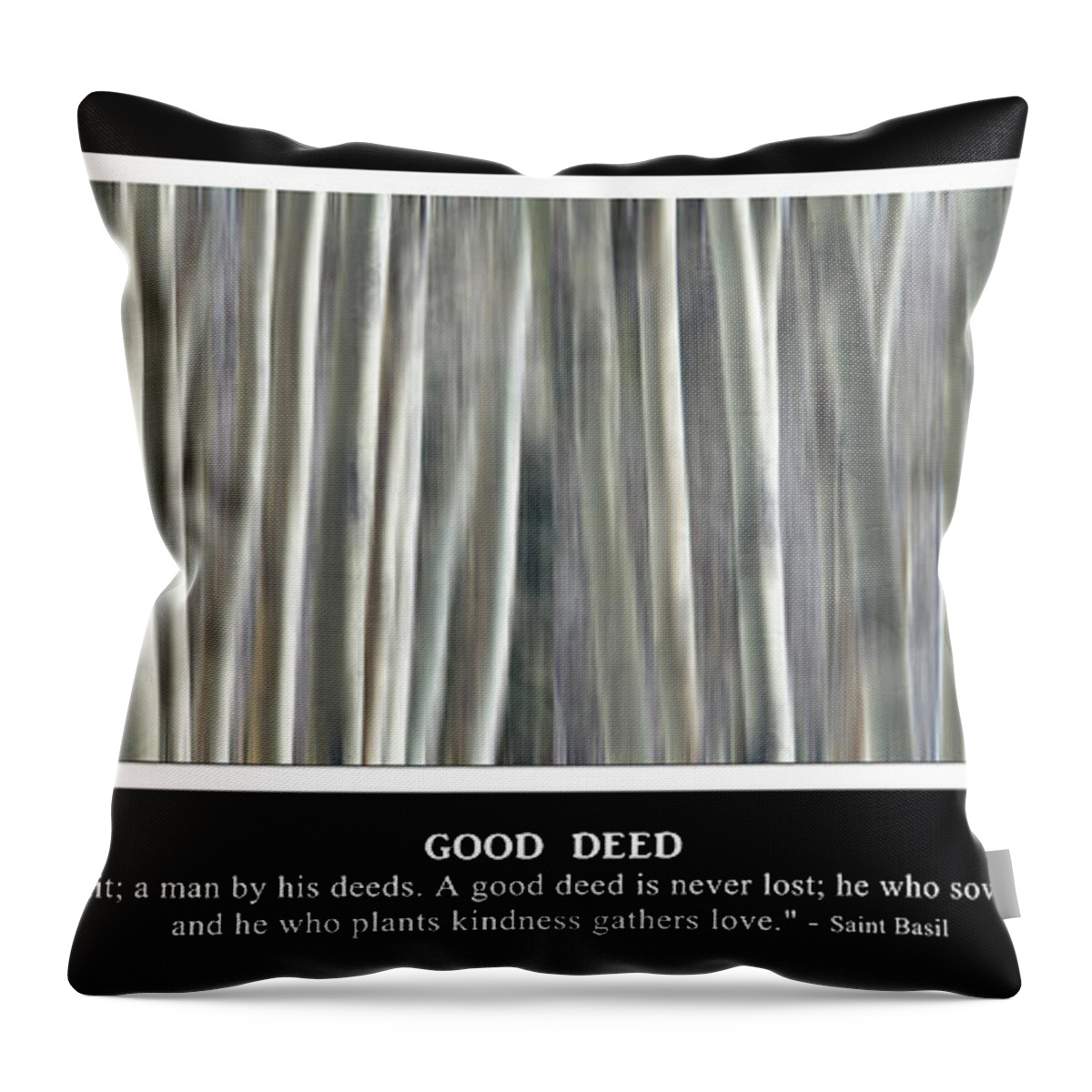 Good Deed Throw Pillow featuring the photograph Good Deed by James BO Insogna