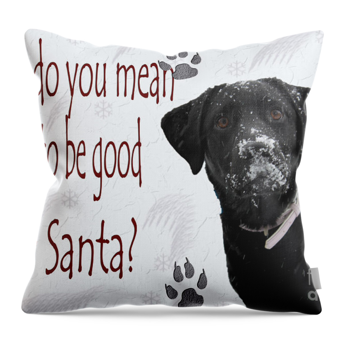 Cathy Beharriell Throw Pillow featuring the photograph Good For Santa by Cathy Beharriell