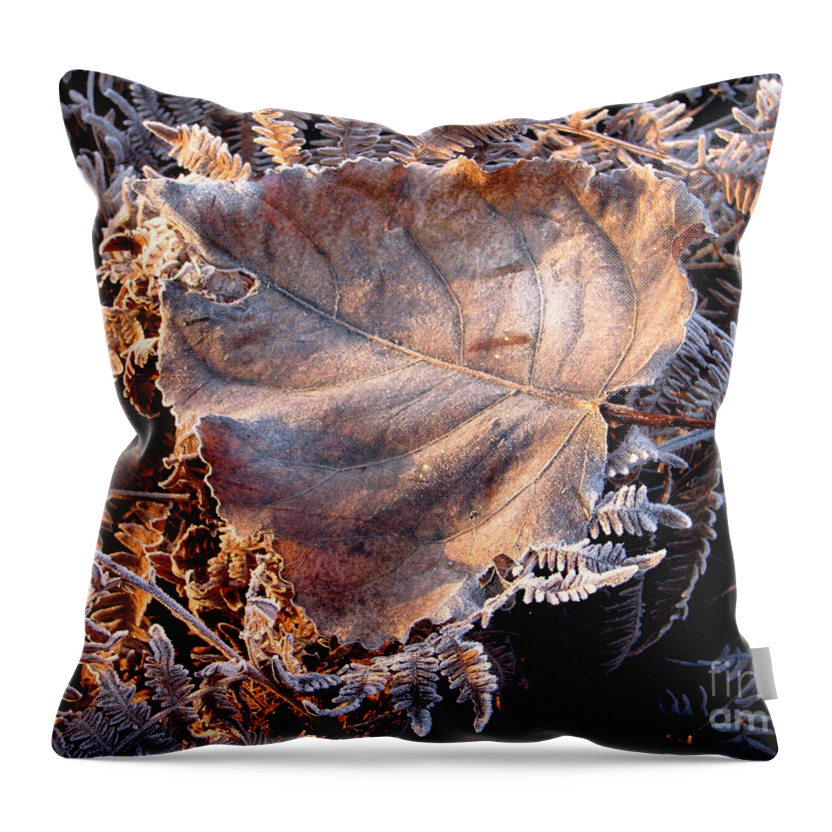 Fall Throw Pillow featuring the photograph Graced By Frost by Rory Siegel