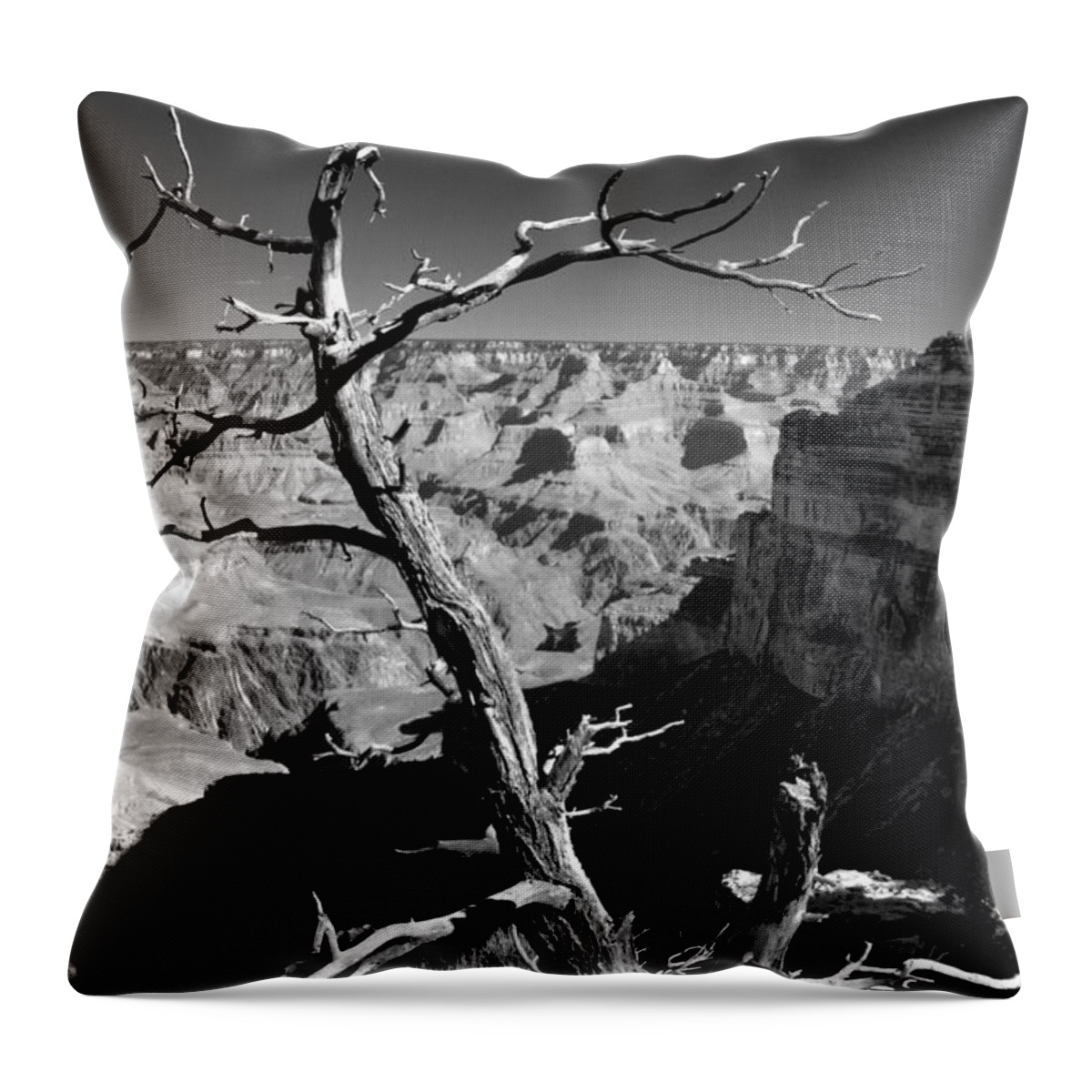 Grand Canyon Bw Throw Pillow featuring the photograph Grand Canyon BW by Patrick Witz
