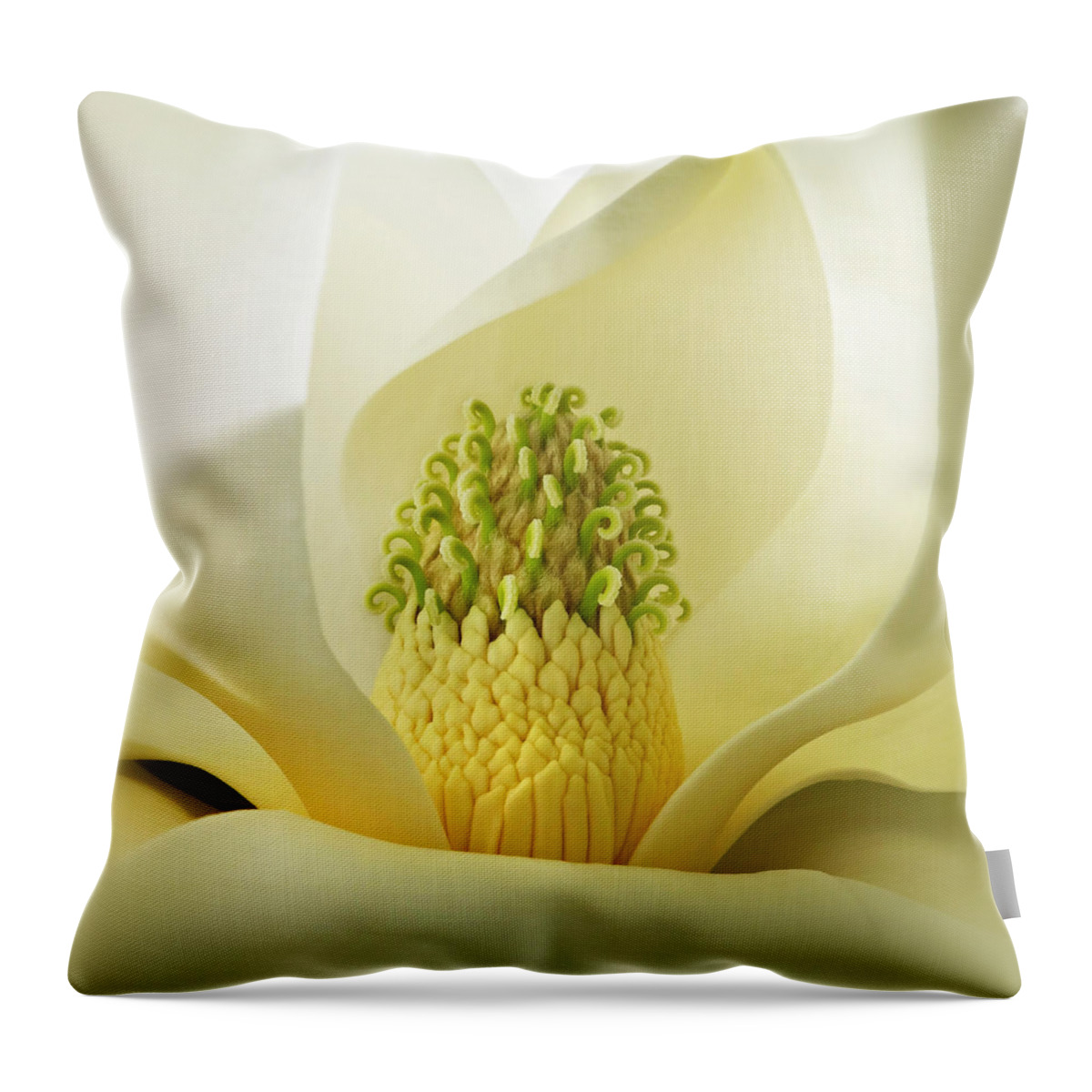 Flora Throw Pillow featuring the photograph Grandiflora Magnolia by Deborah Smith