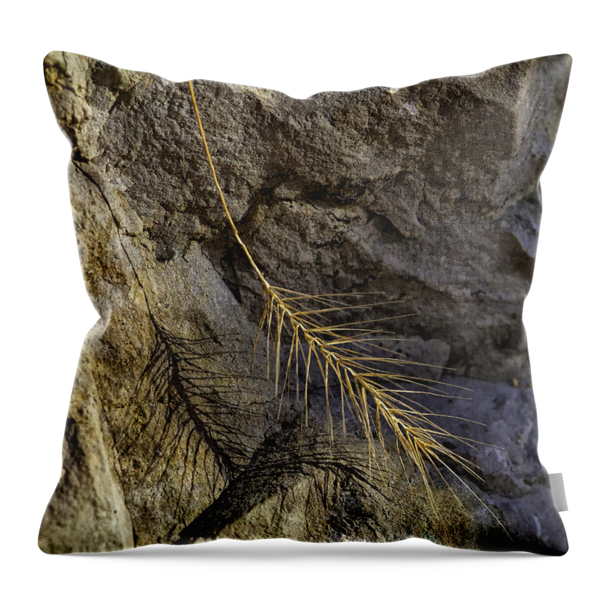 Grass Throw Pillow featuring the photograph Grass and Shadow on River Rock by Michael Dougherty