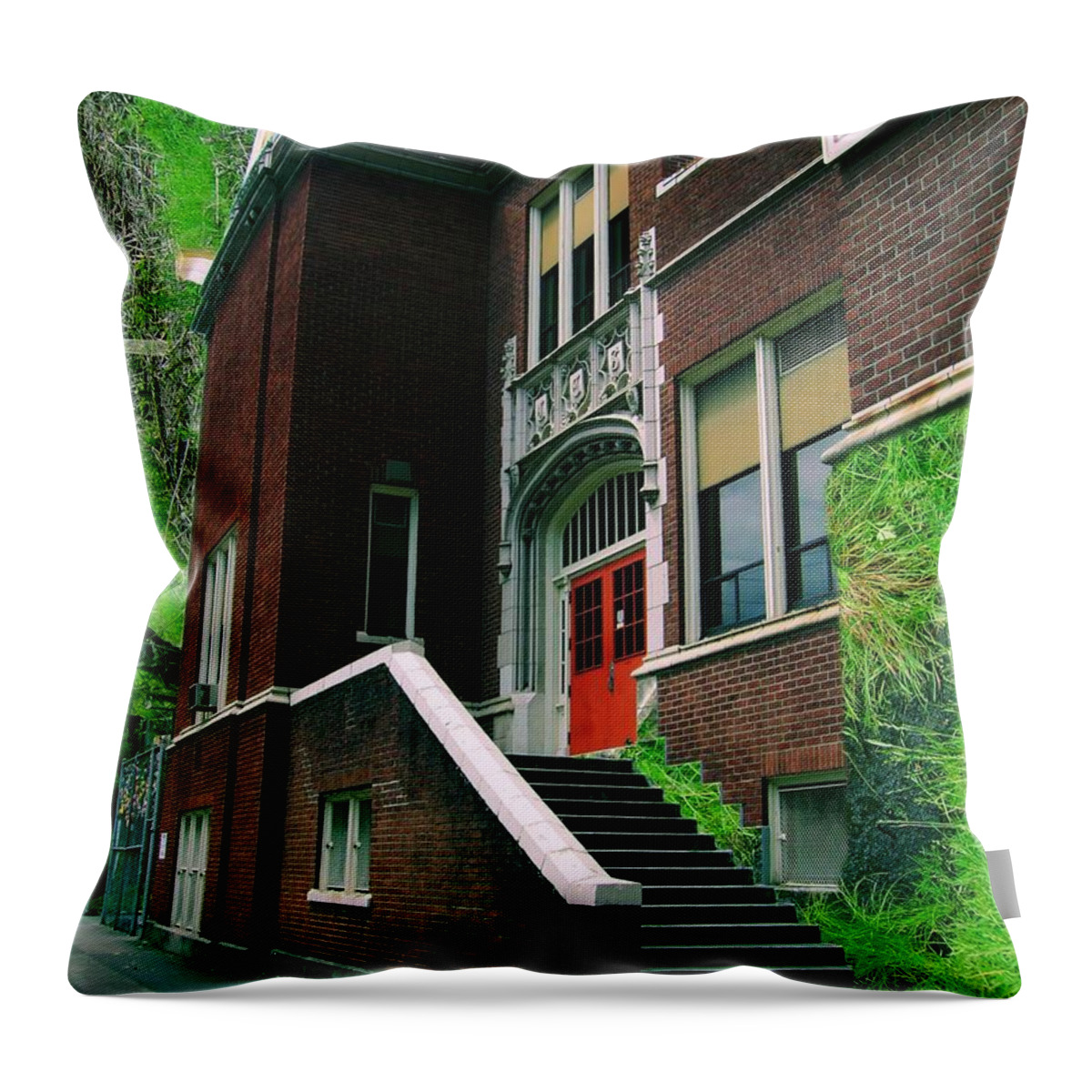 School Throw Pillow featuring the photograph Grassroots Education by Laureen Murtha Menzl