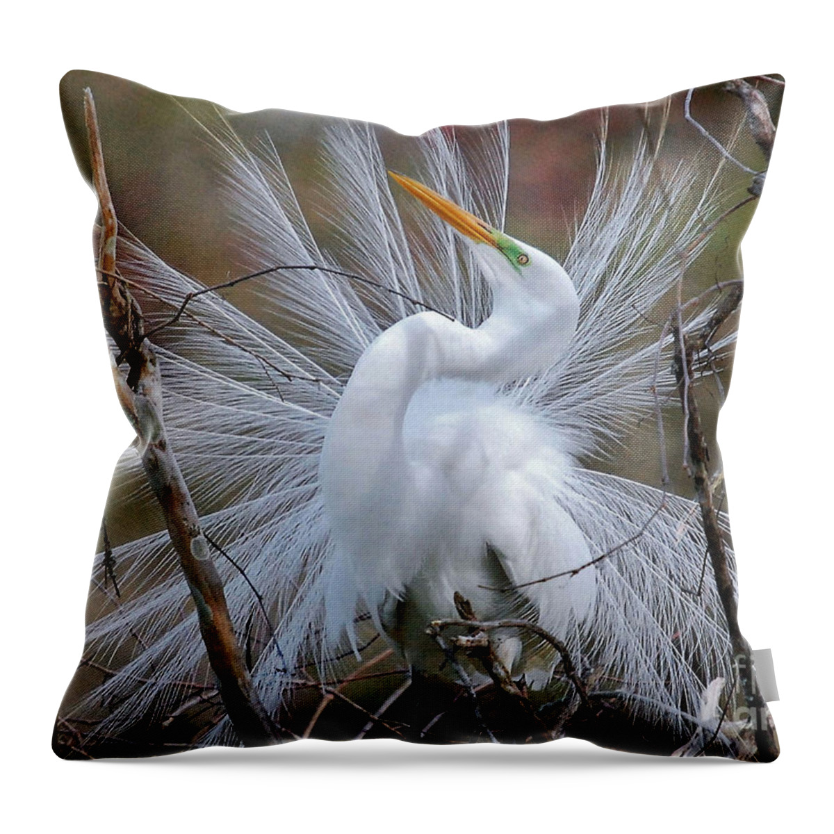 Birds Throw Pillow featuring the photograph Great White Egret With Breeding Plumage by Kathy Baccari