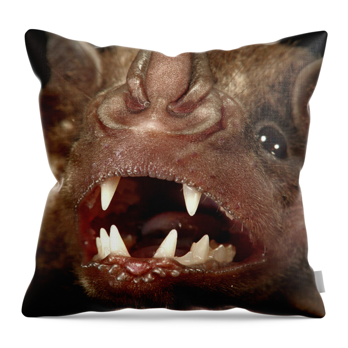 00463278 Throw Pillow featuring the photograph Greater Spear-nosed Bat by Christian Ziegler