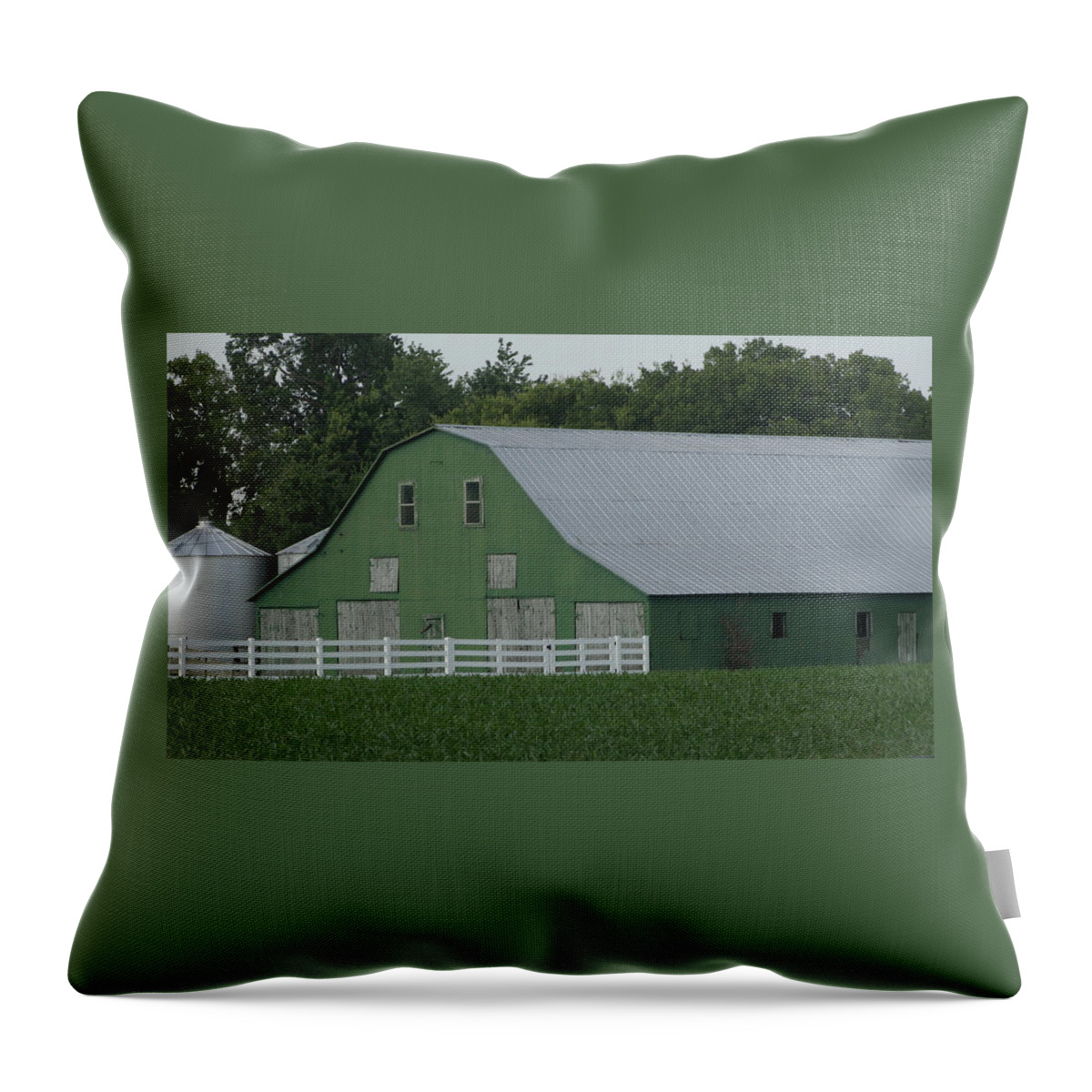 Barn Throw Pillow featuring the photograph Kentucky Green Barn by Valerie Collins
