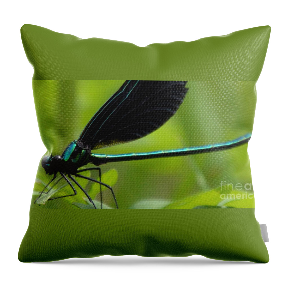 Damselfly Throw Pillow featuring the photograph Green Damselfly by Lynellen Nielsen
