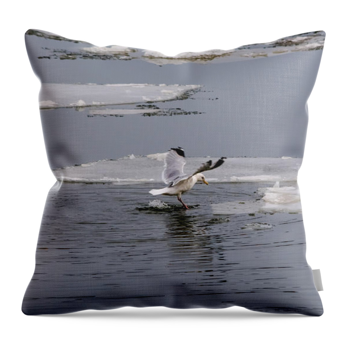 Gull Throw Pillow featuring the photograph Gull Standing On Thin Ice by Holden The Moment