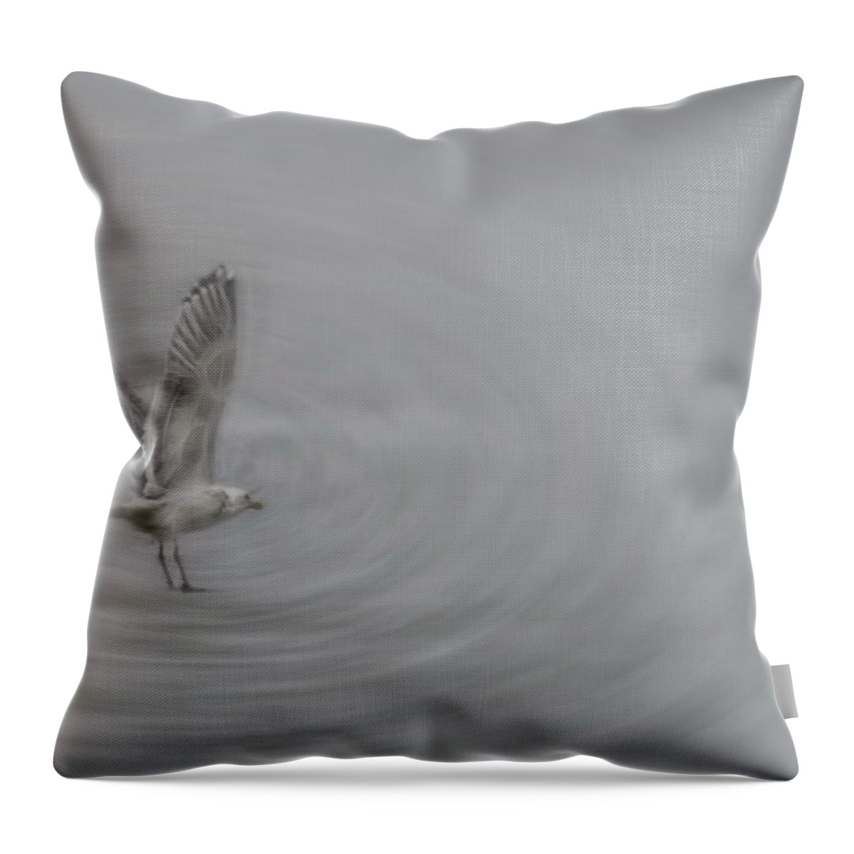 Gull Throw Pillow featuring the photograph Gull Vortex by Beth Sawickie