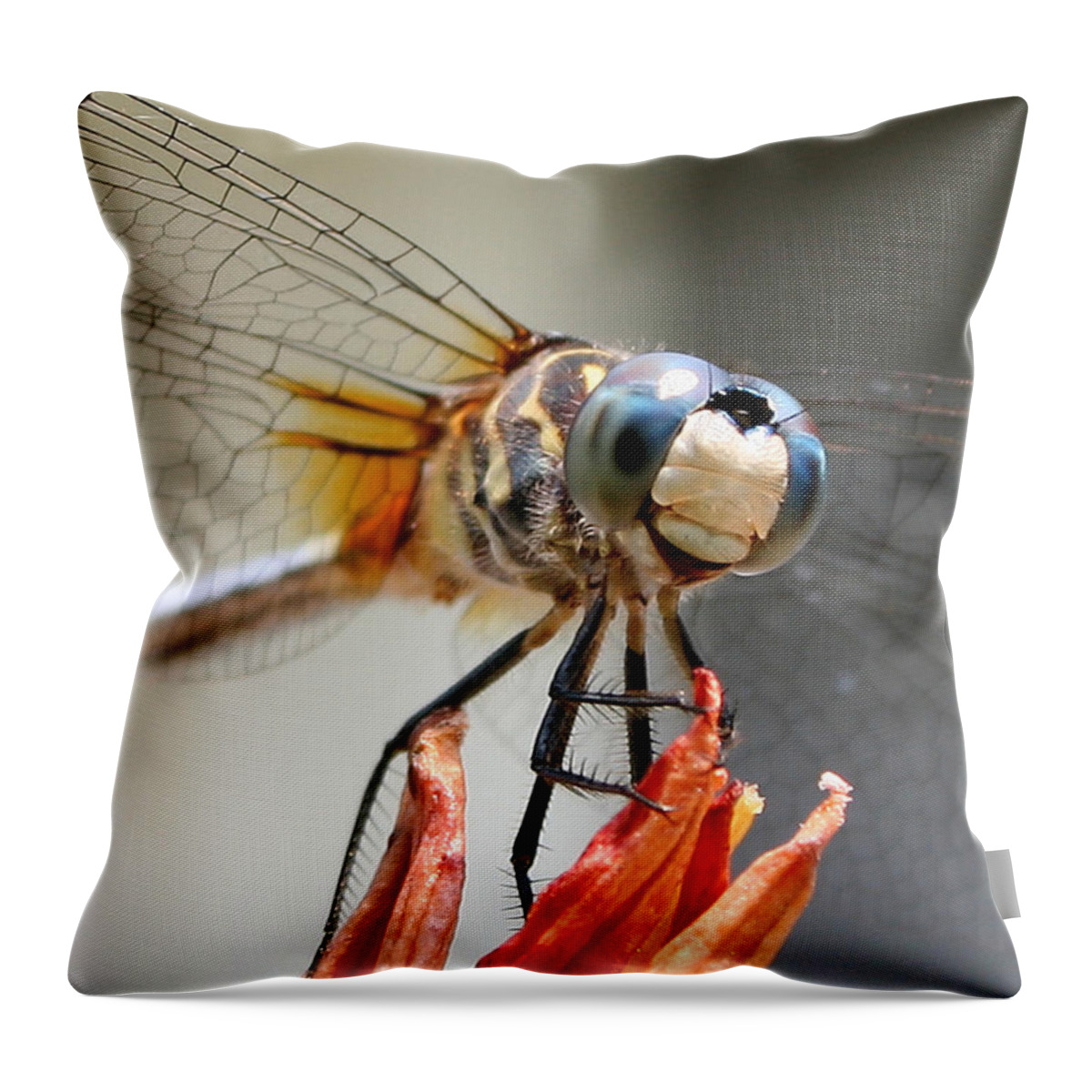 Nature Throw Pillow featuring the photograph Happy Dragonfly by William Selander